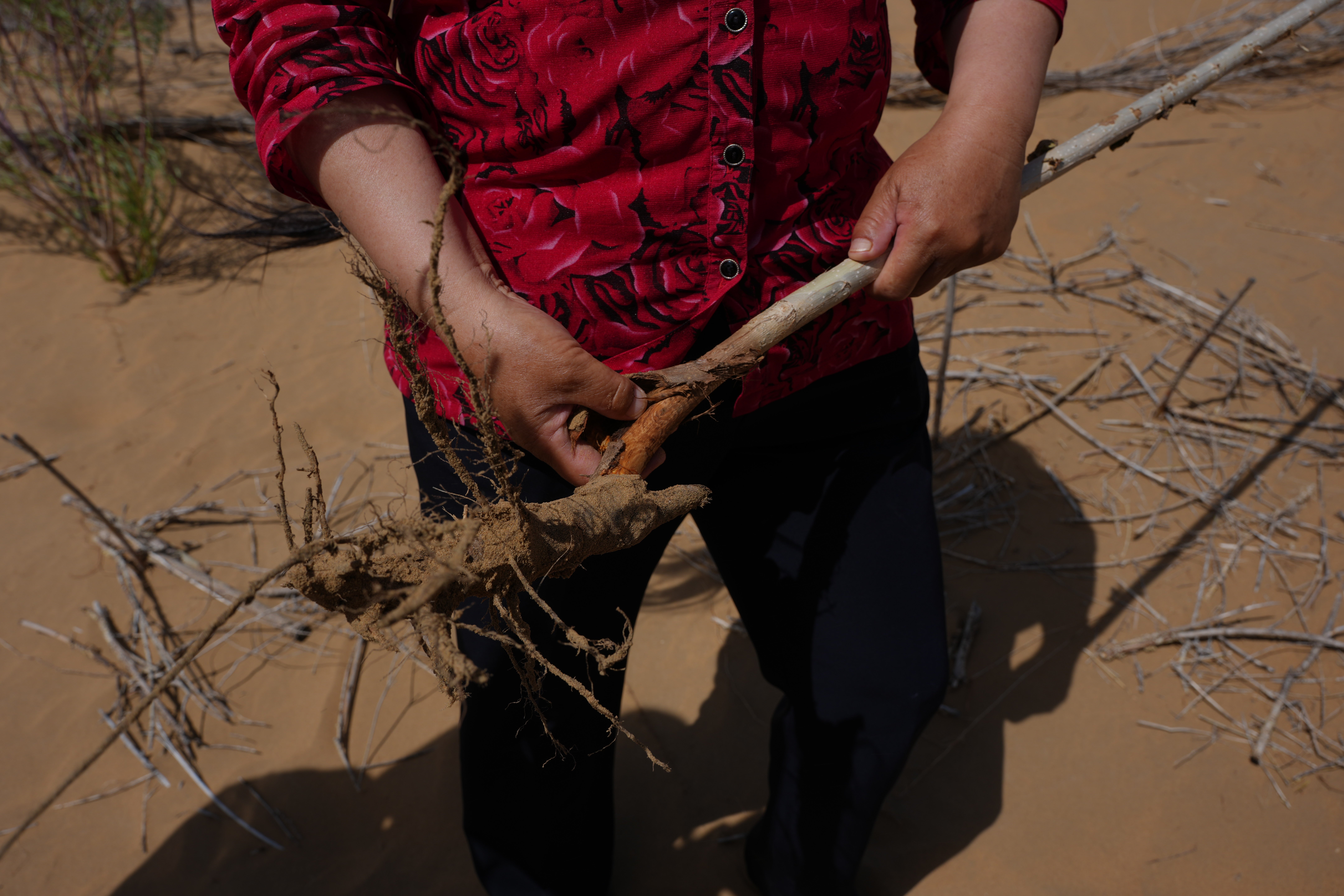 The progress is the result of the efforts of frontline sand-control workers