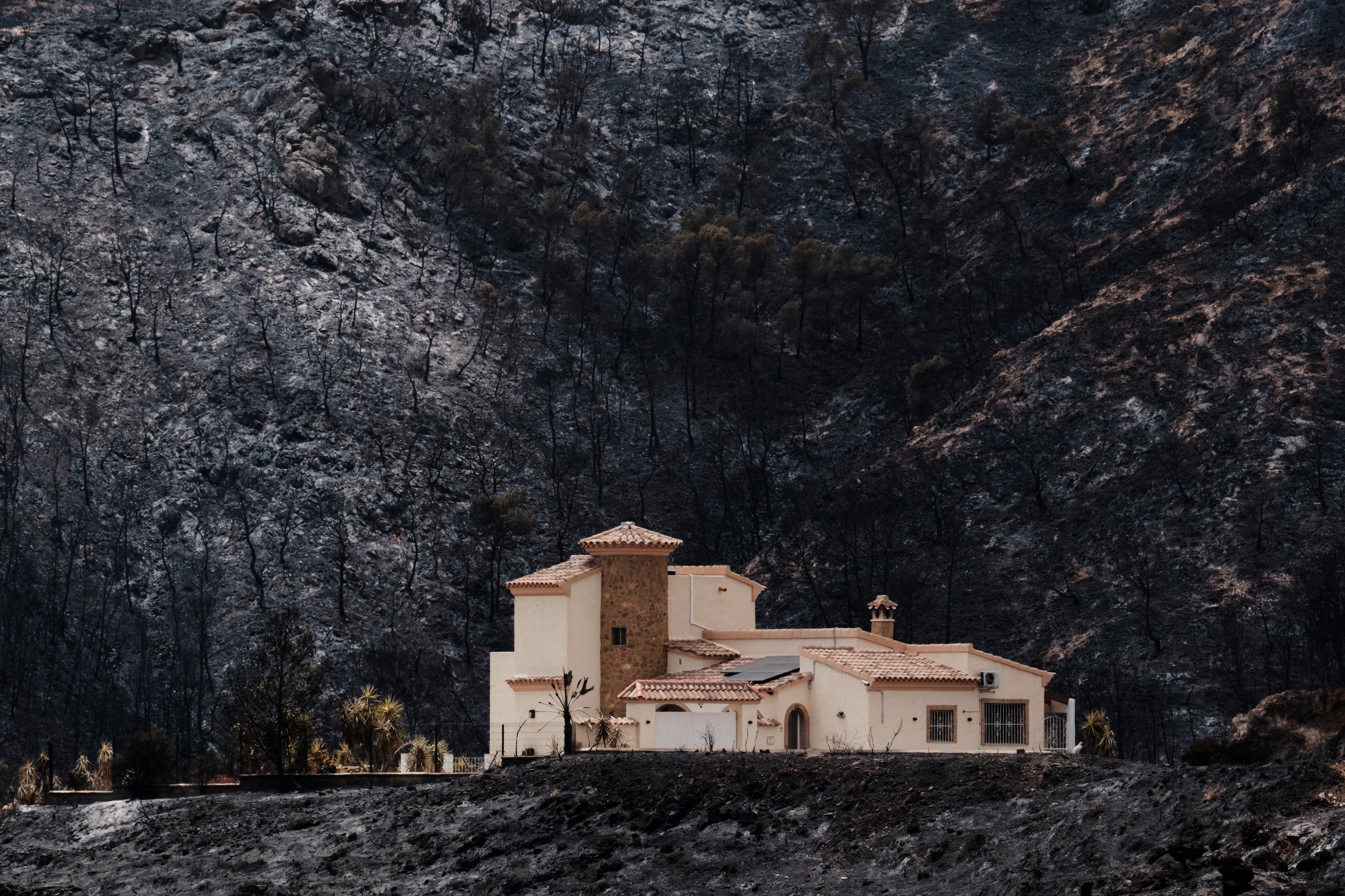 A view of a burnt area affected by wildfires in Bedar, near Almeria, Spain, Saturday, July 11, 2026. (AP Photo/Gregorio Marrero)