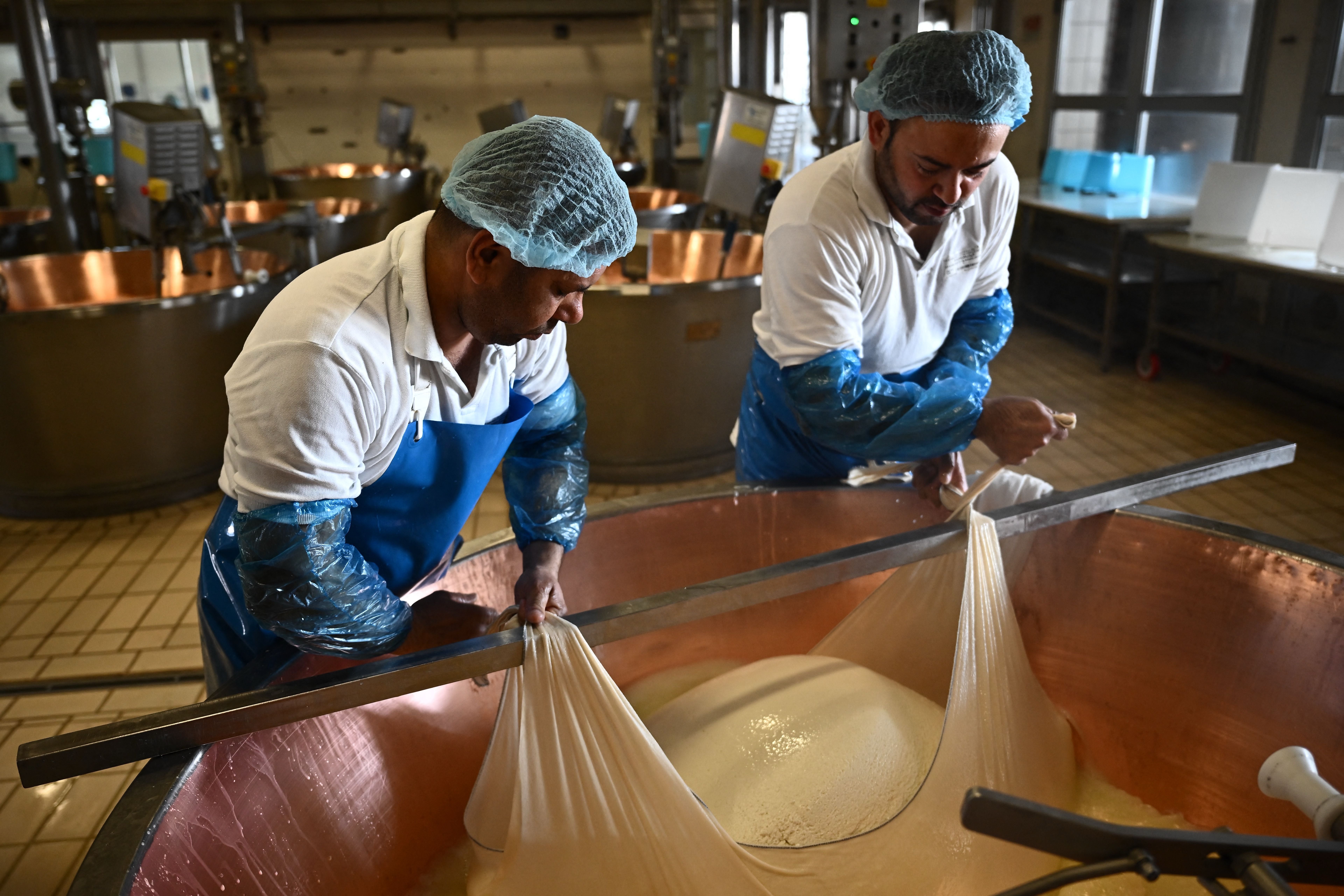 Extreme heatwaves, exceeding 40 degrees Celsius, are drastically reducing milk production for Italy's iconic Parmigiano Reggiano cheese