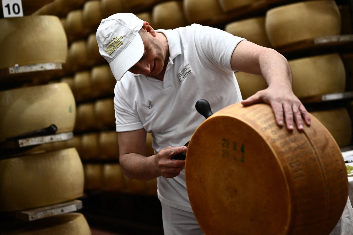 How heatwaves are putting parmesan cheese production at risk: ‘We don’t want to be the last generation to eat it’