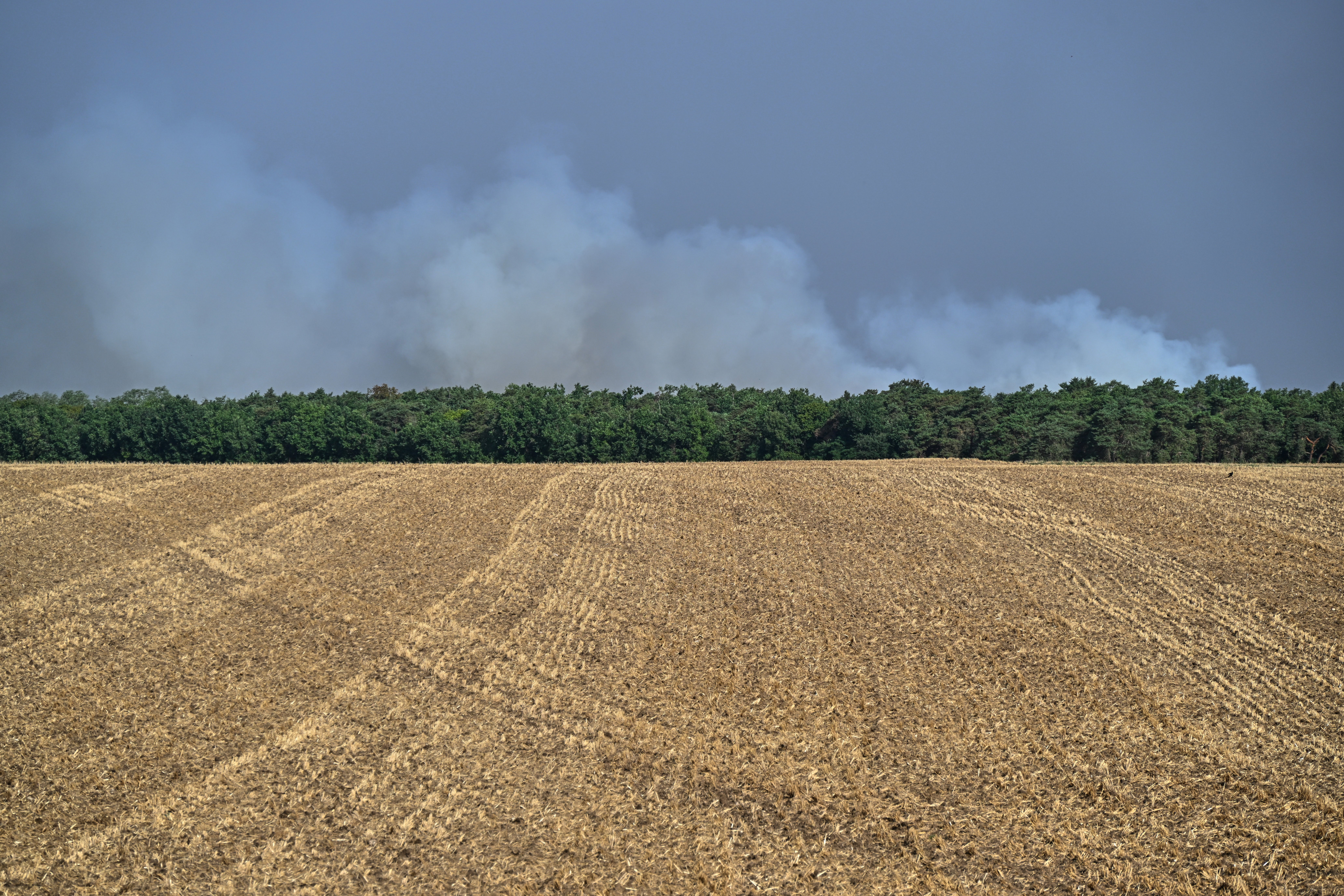 Smoke billows rise into the sky during wildfires at the historic Fontainebleau forest, about 60 km (37 miles) south of Paris