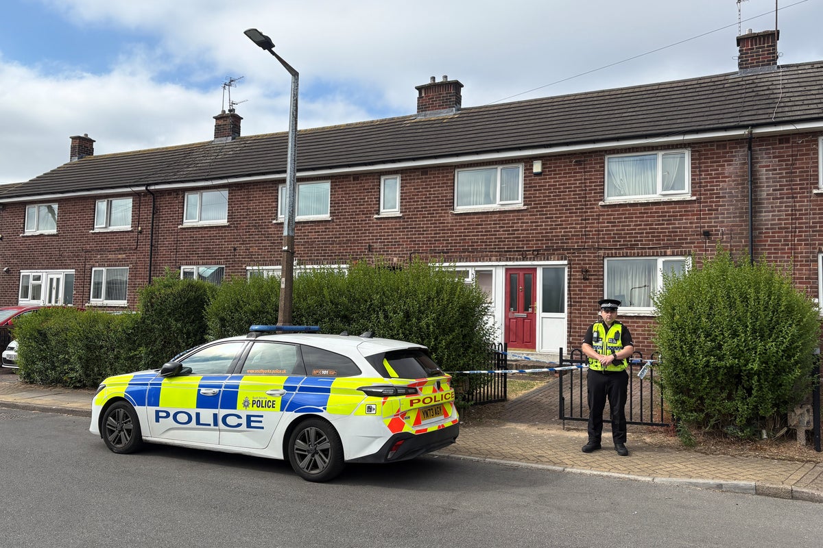 Ann Widdecombe murder suspect: What we know as man re-arrested by counter-terrorism police