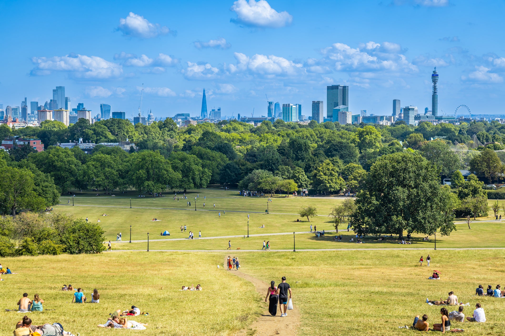 Primrose Hill is a well-placed vantage point (Getty Images)