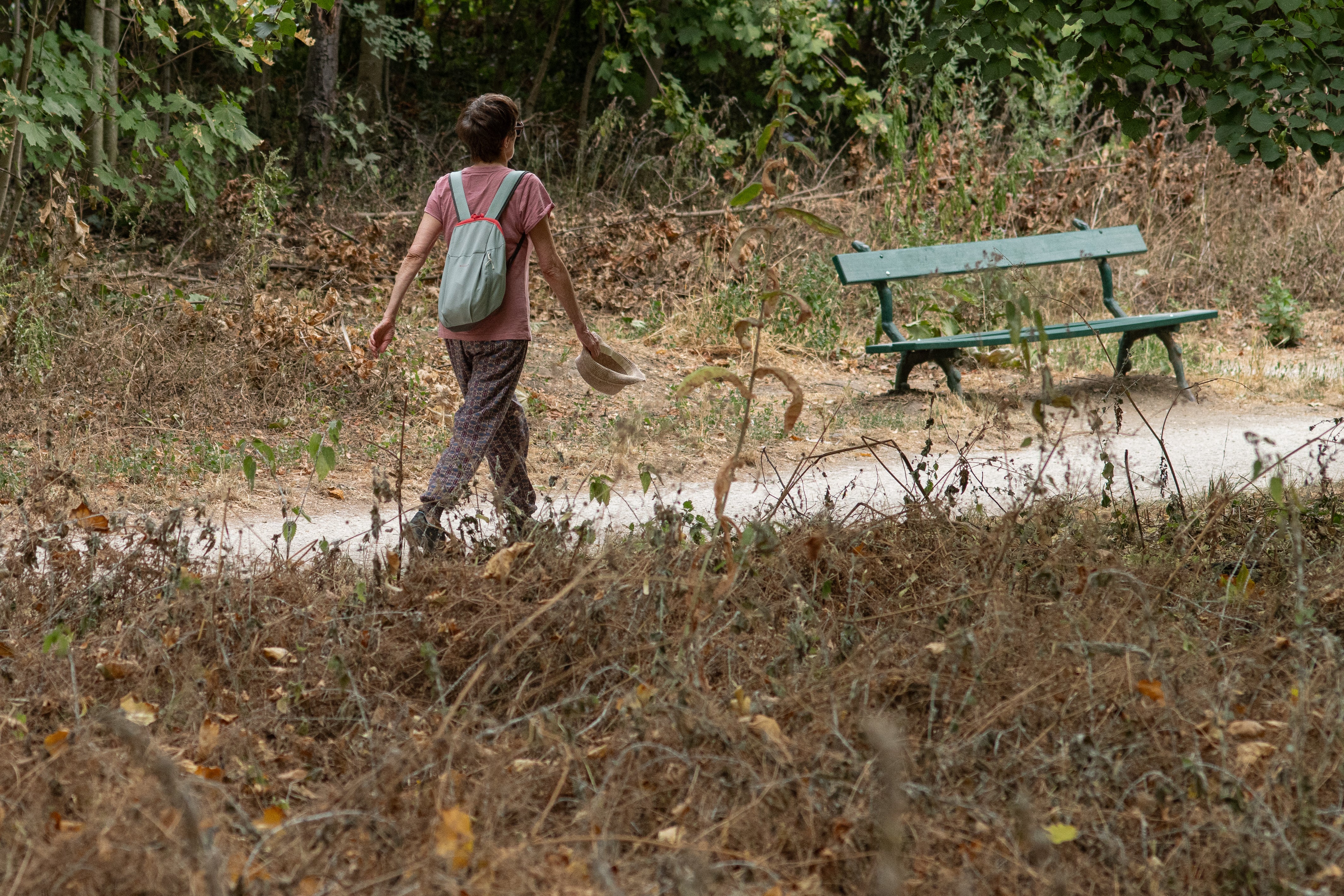 The quality of a walk is more important than the frequency, experts say (AFP/Getty)
