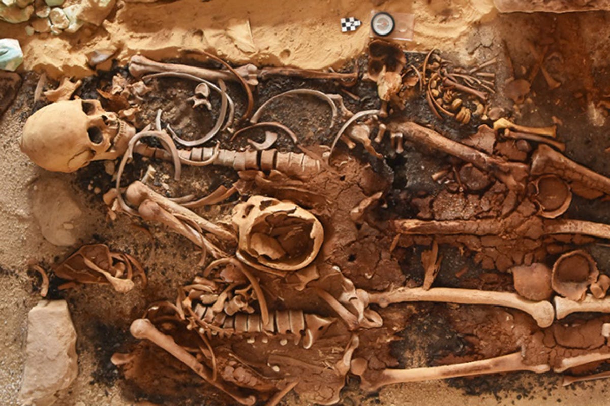 Ancient Egyptian tombs containing twenty-four ‘golden tongues’ discovered by the Mediterranean. Ancient Egyptian tombs containing twenty-four ‘golden tongues’ discovered by the Mediterranean.