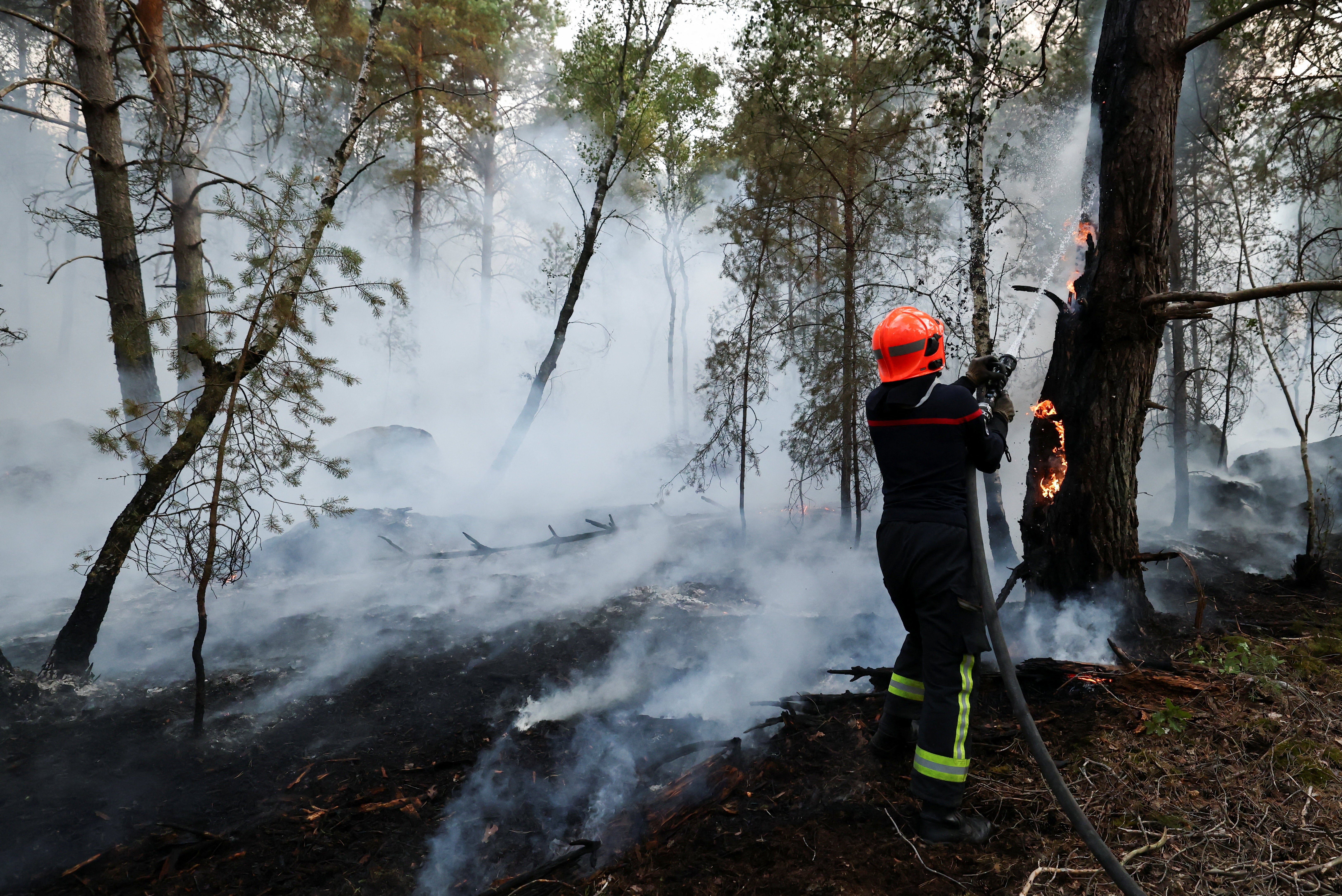 A firefighter sprays water to extinguish flames in the Fontainebleau forest during a wildfire, in Noisy-sur-Ecole, near Paris, during a heatwave affecting large parts of France (Reuters)