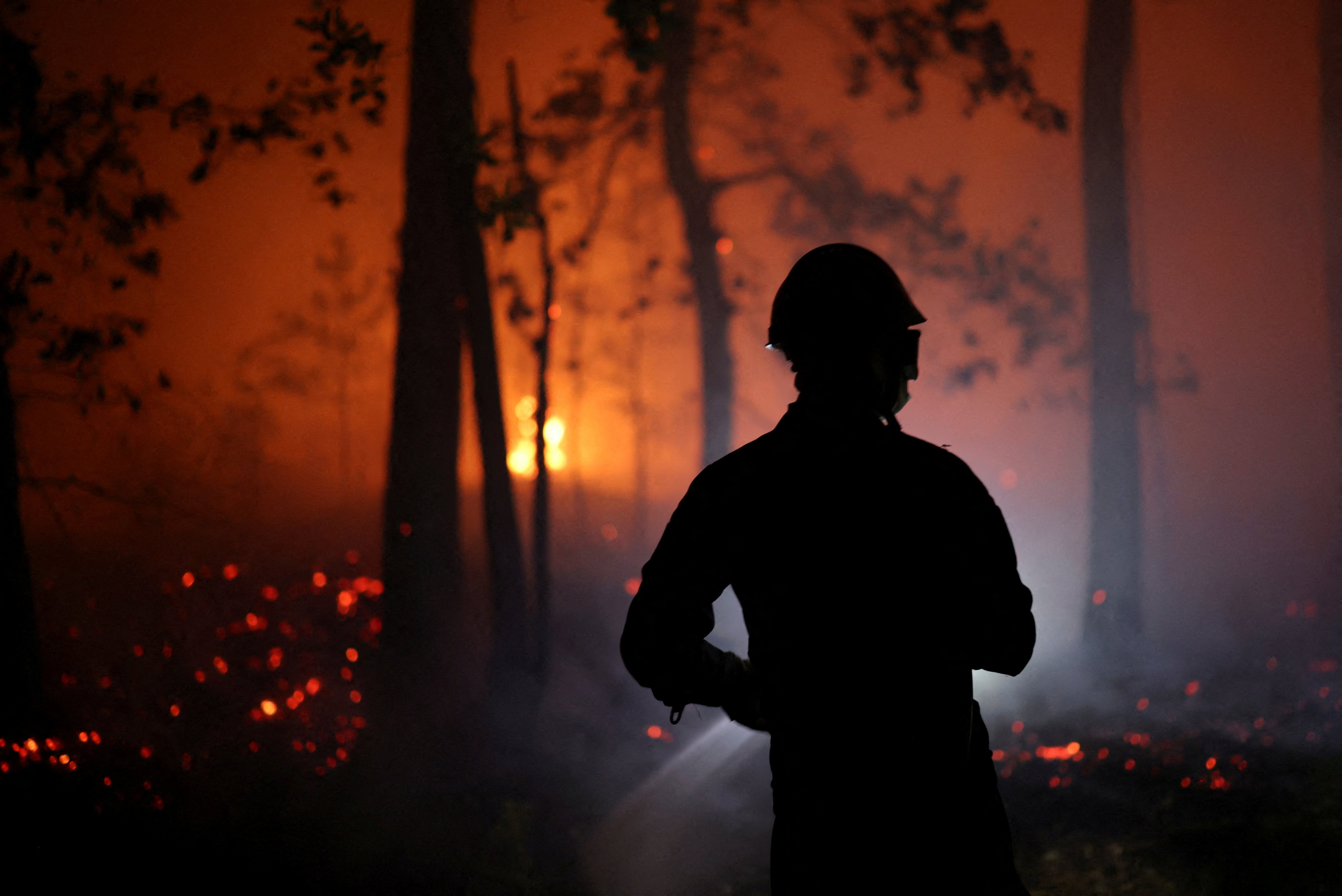 A firefighter works to extinguish flames in the Fontainebleau forest during a wildfire, in Le Vaudoue, during a heatwave affecting large parts of France, July 13, 2026.