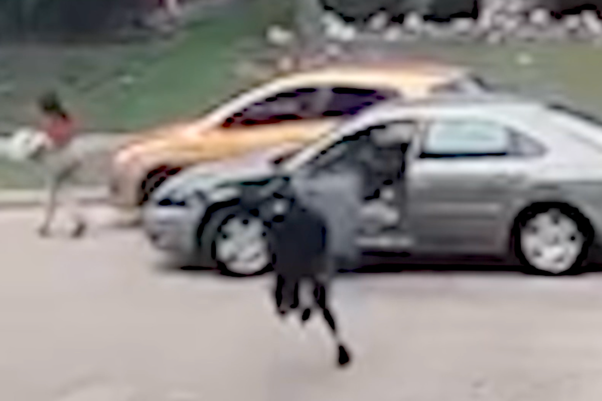Motorista do DoorDash é atropelado ao tentar fugir da polícia, mas ainda faz entrega