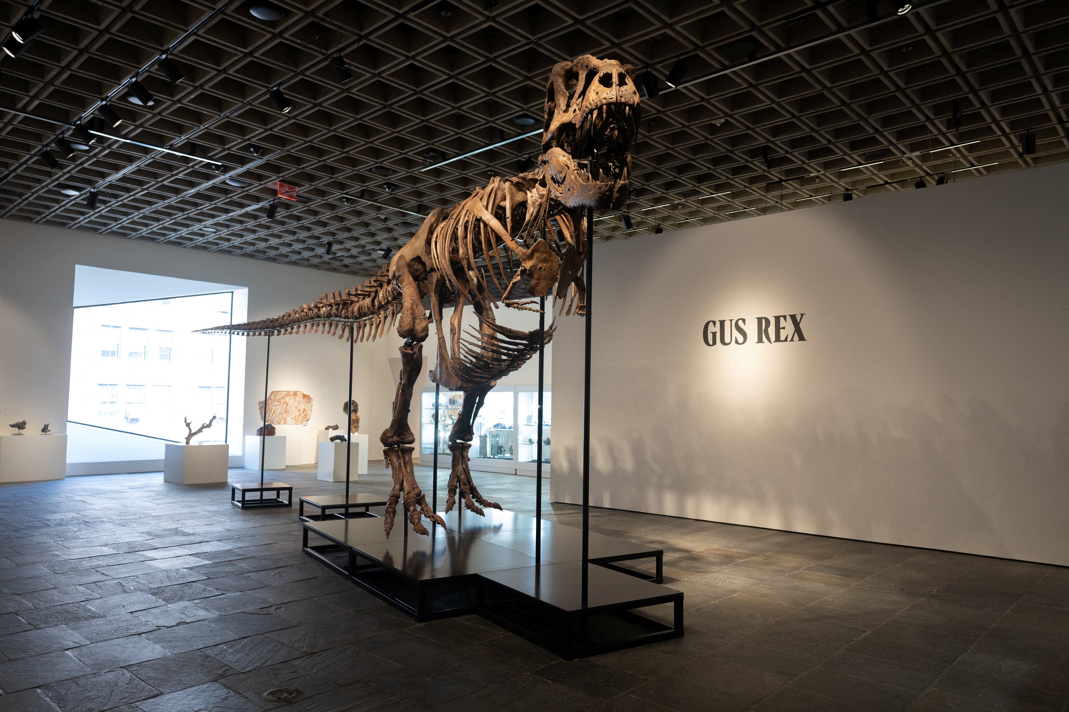 Sotheby’s, the New York auction house, confirmed that “Gus” eclipsed previous records (Reuters/Jordan Tovin)