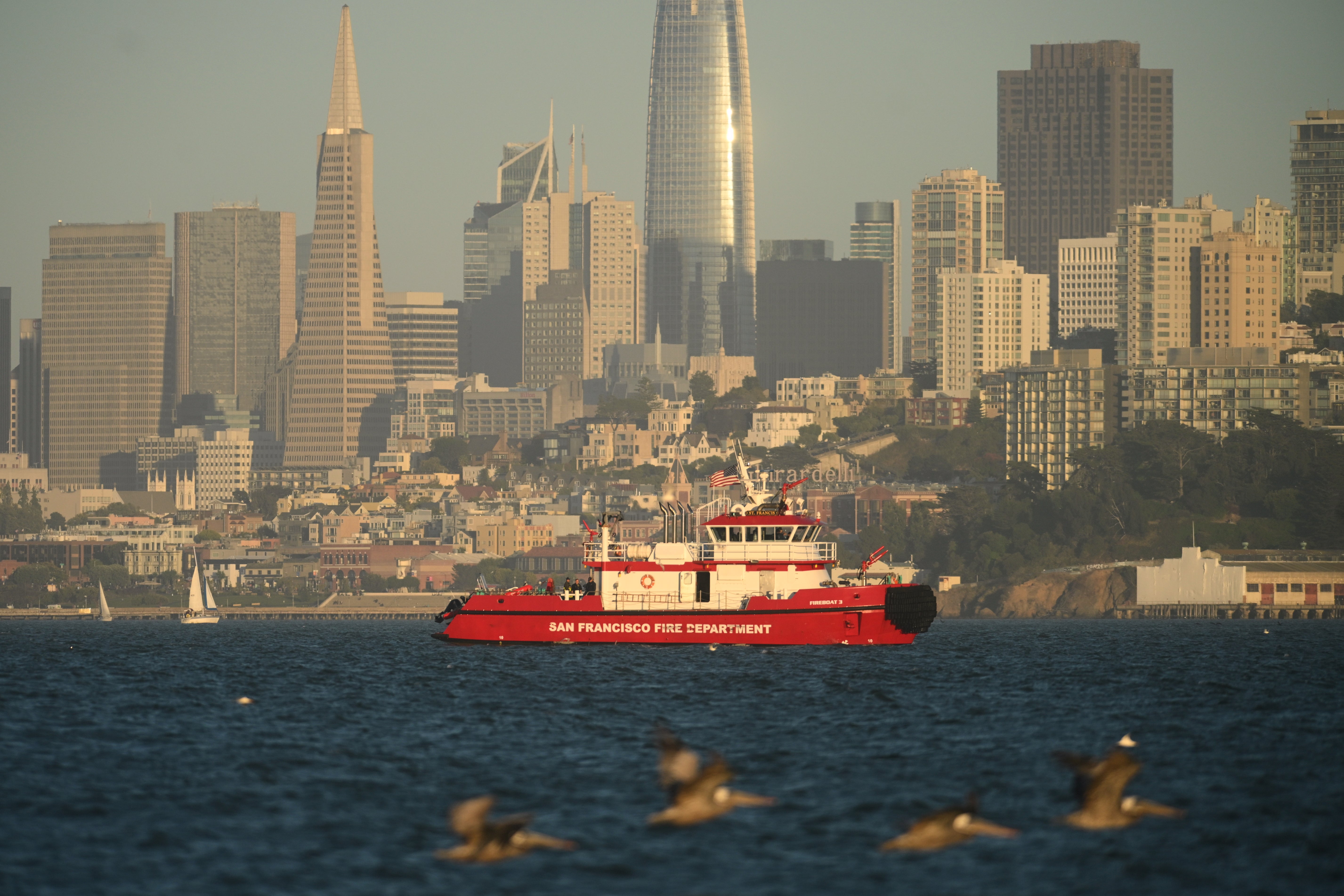 SAN FRANCISCO-NAUFRAGIO