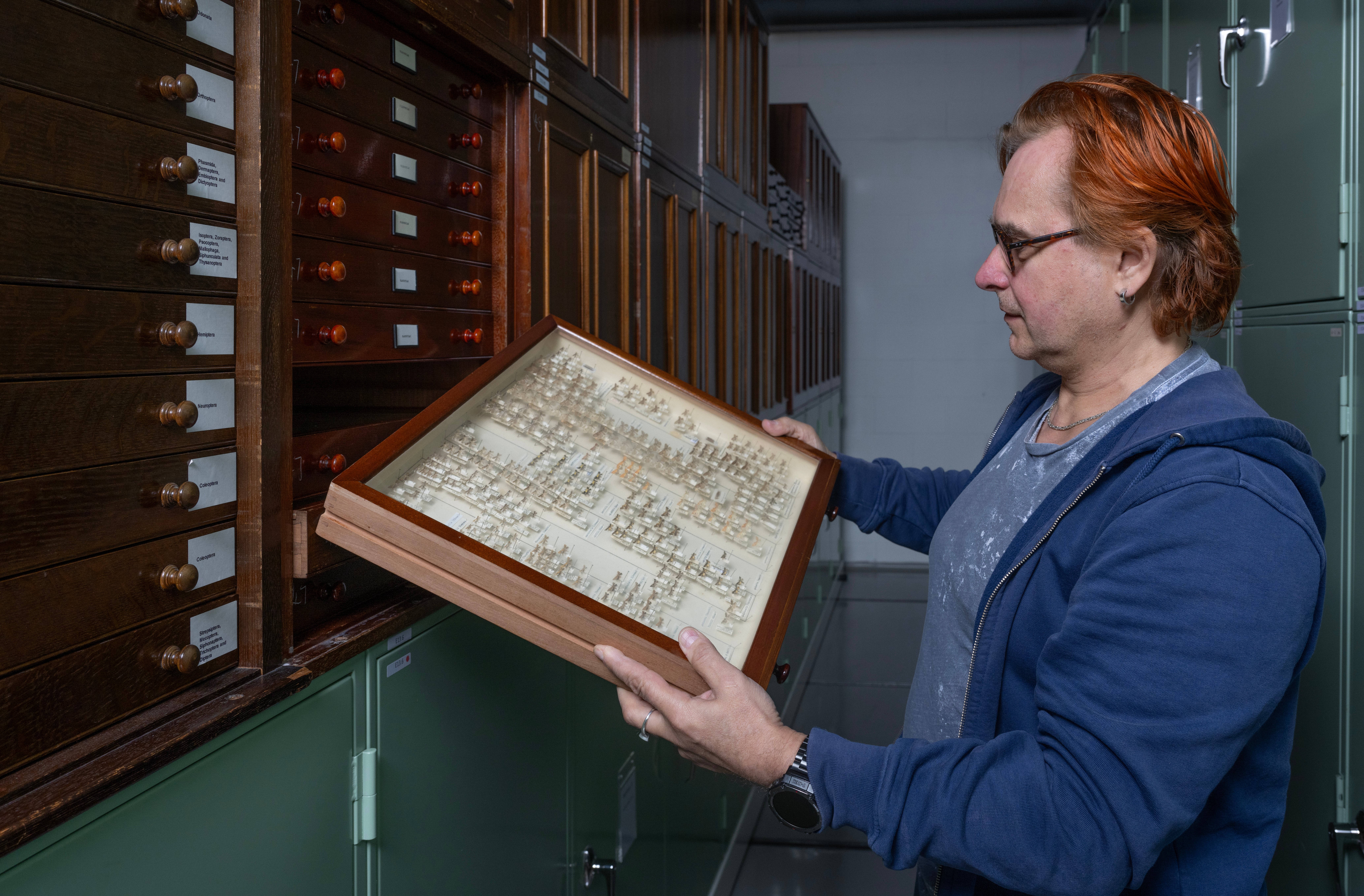 Dr Vladimir Blagoderov, Principal Curator of Invertebrates at National Museums Scotland examines moths which will be digitised as part of the project (Neil Hanna/PA)