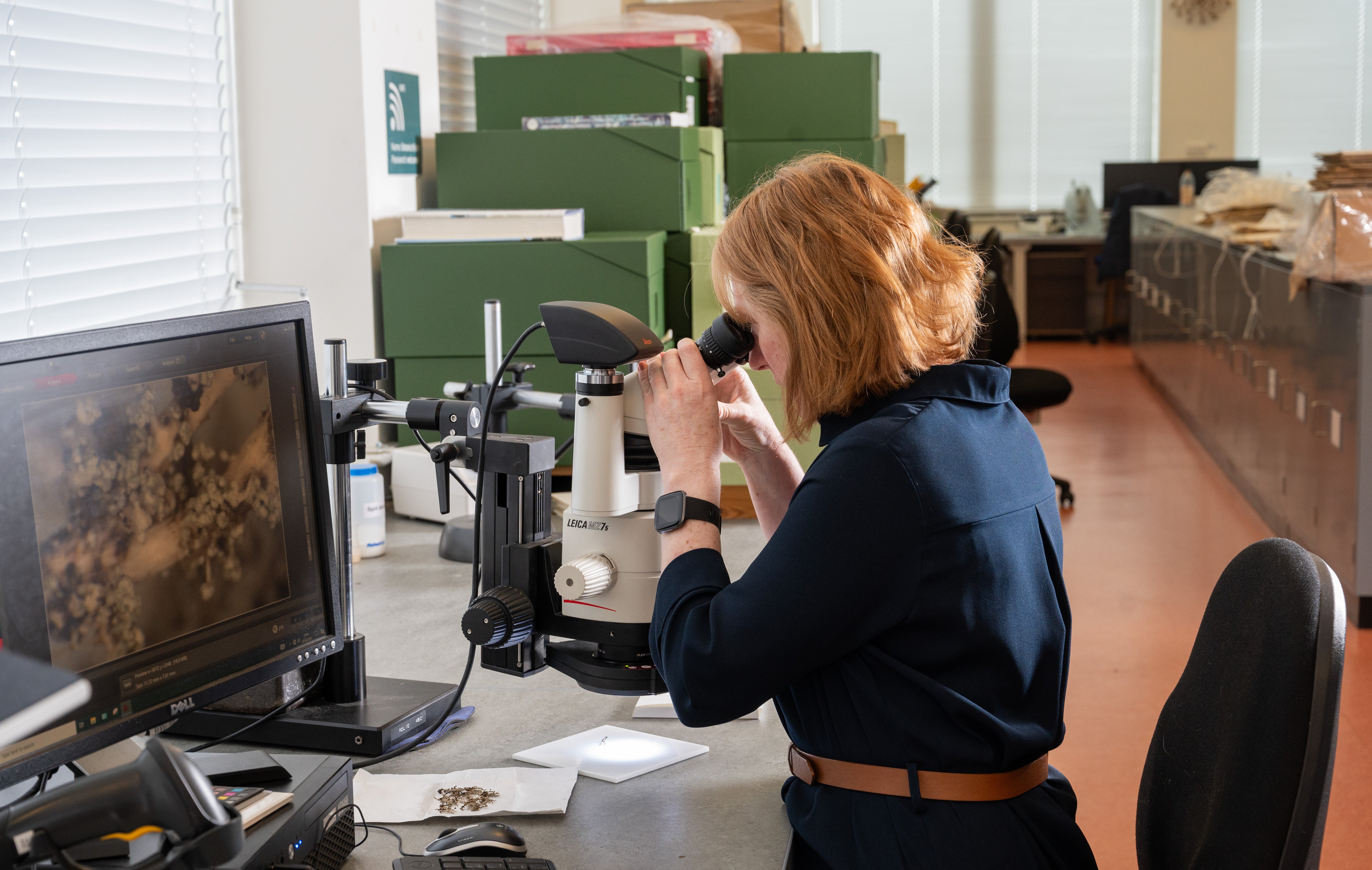 Professor Olwen Grace views a lichen sample from Royal Botanic Garden Edinburgh’s collection (Julie Howden/PA)