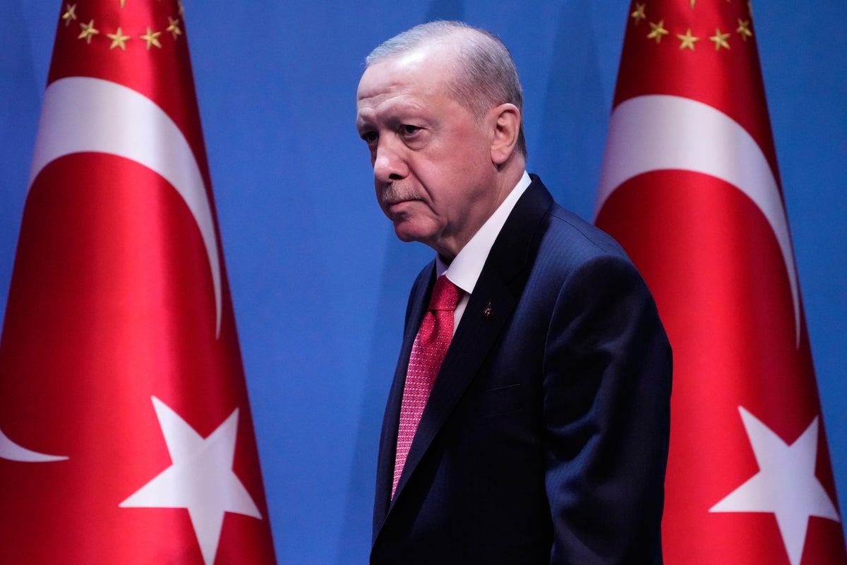 Erdogan calls for deportation of suspects linked to failed coup a decade ago