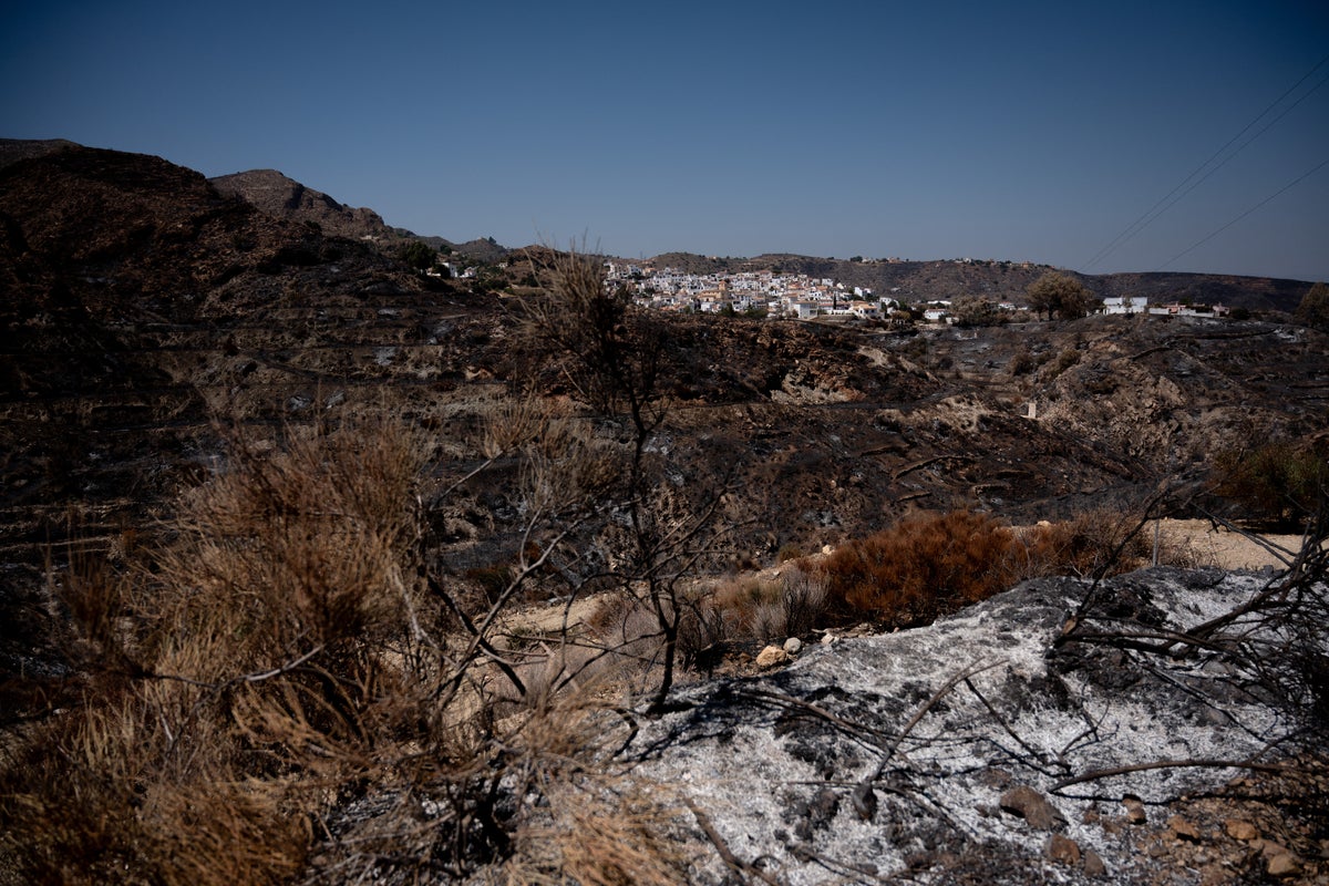 Seven British nationals confirmed dead in devastating Spanish wildfires