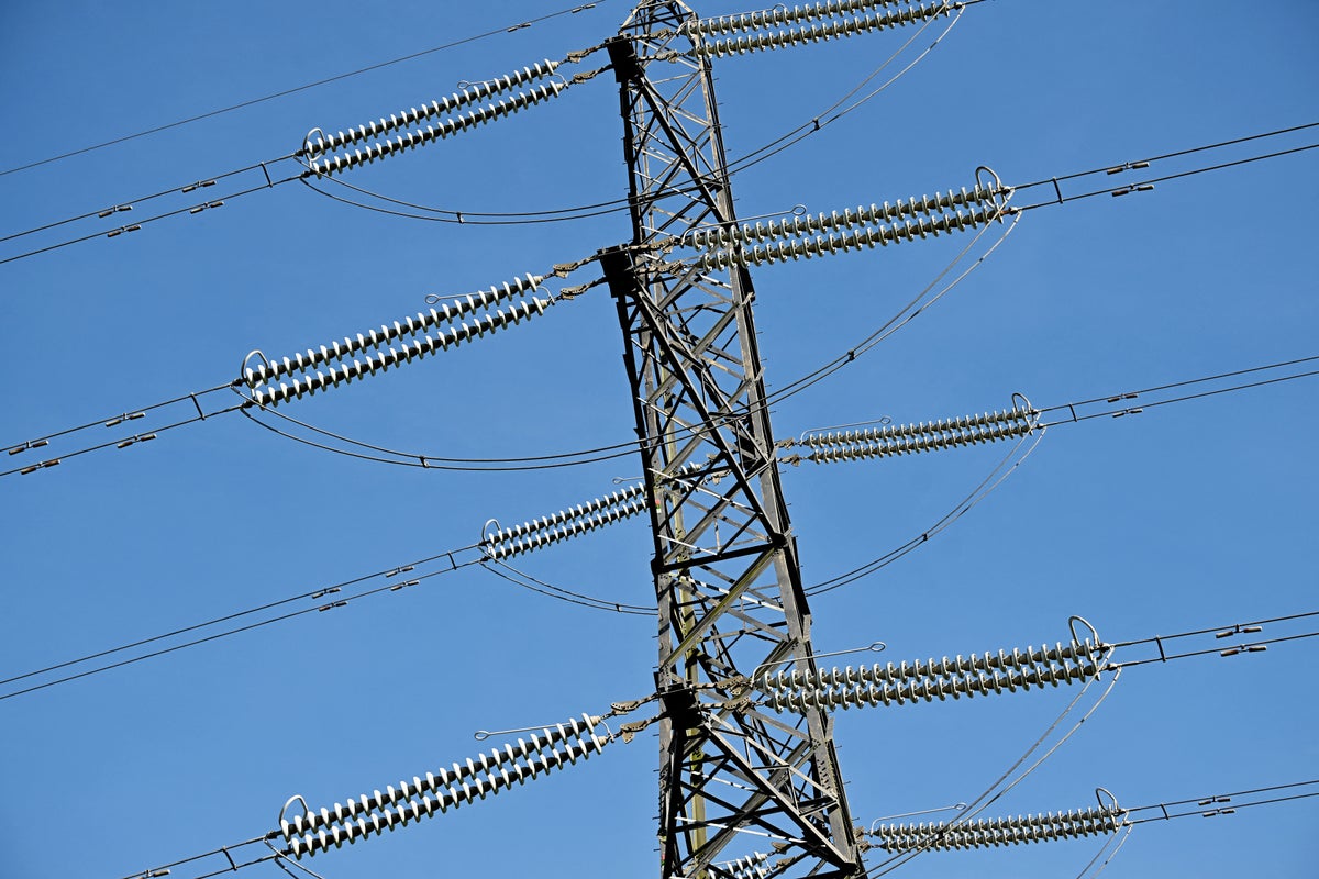 Government downplays energy grid blackout risk amid extreme heatwave