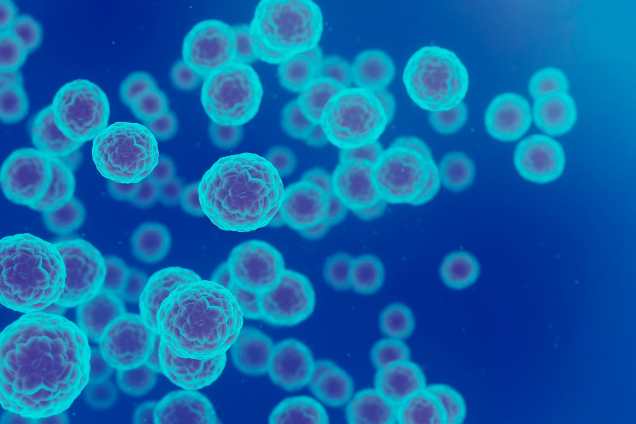 All cancer therapies still face one critical challenge: how to target cancers without damaging healthy cells
