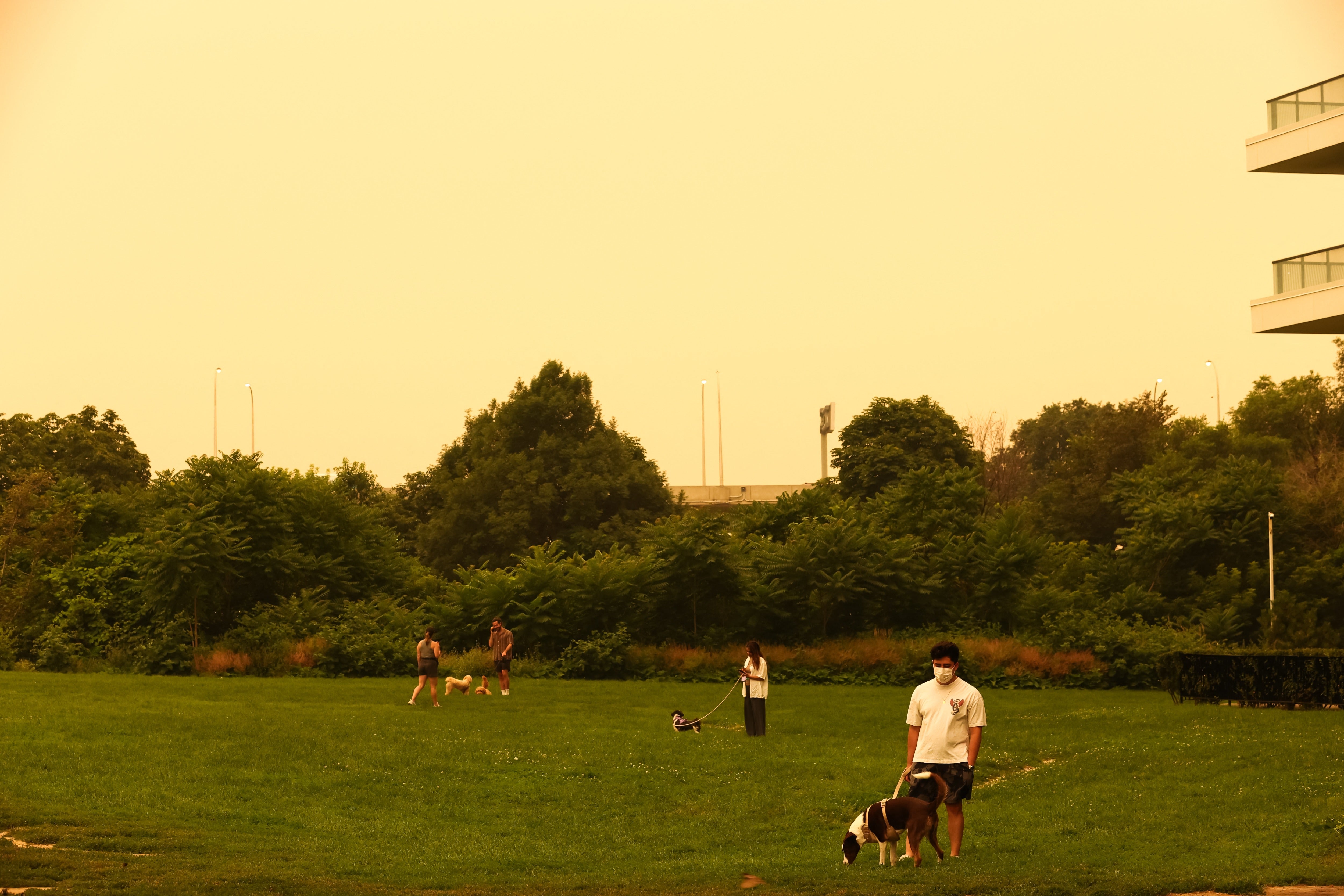 High levels of fine particulate matter in the air from wildfire smoke may be unhealthy for sensitive groups, such as children and people with heart or lung conditions