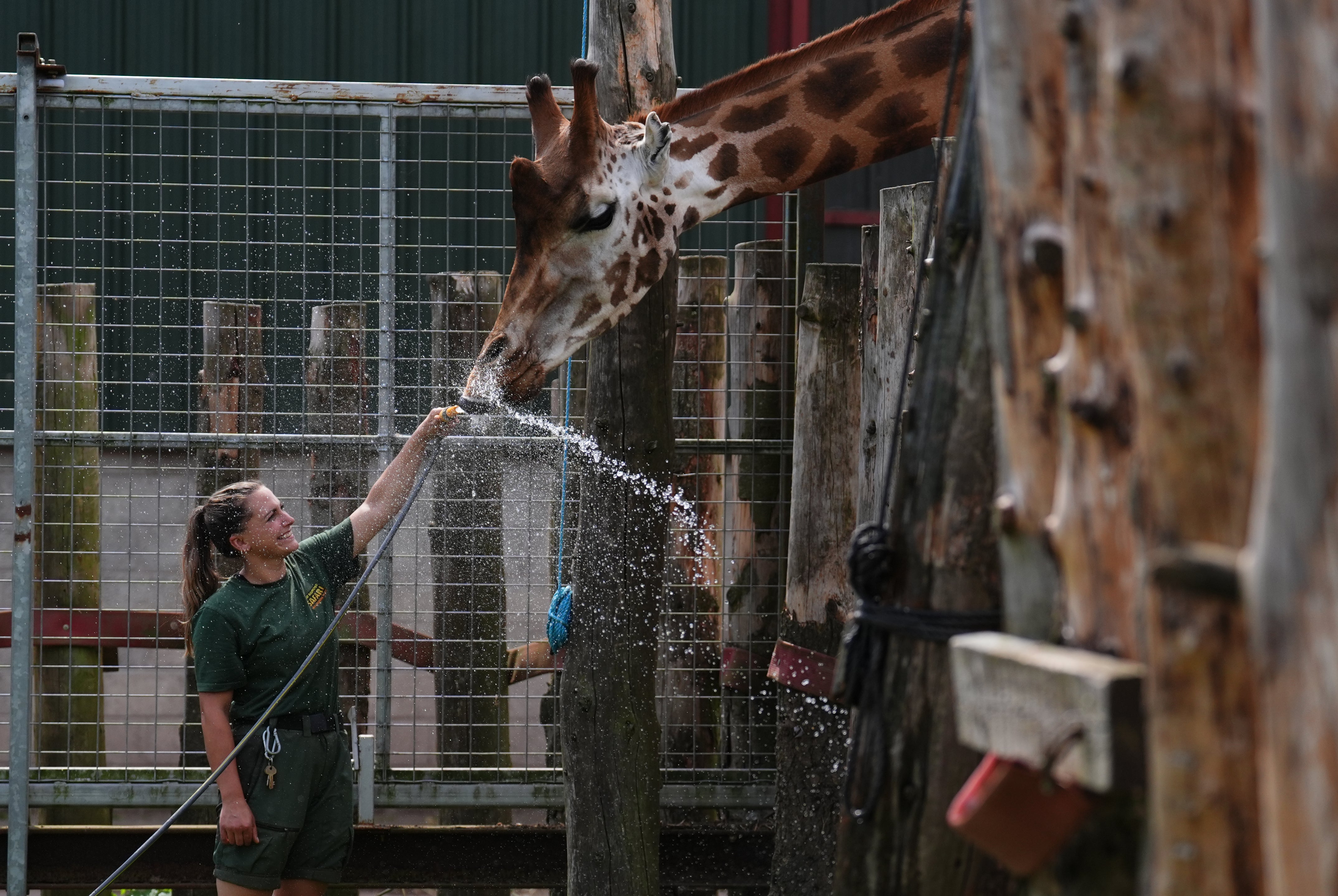It is allowed to use hose for animals