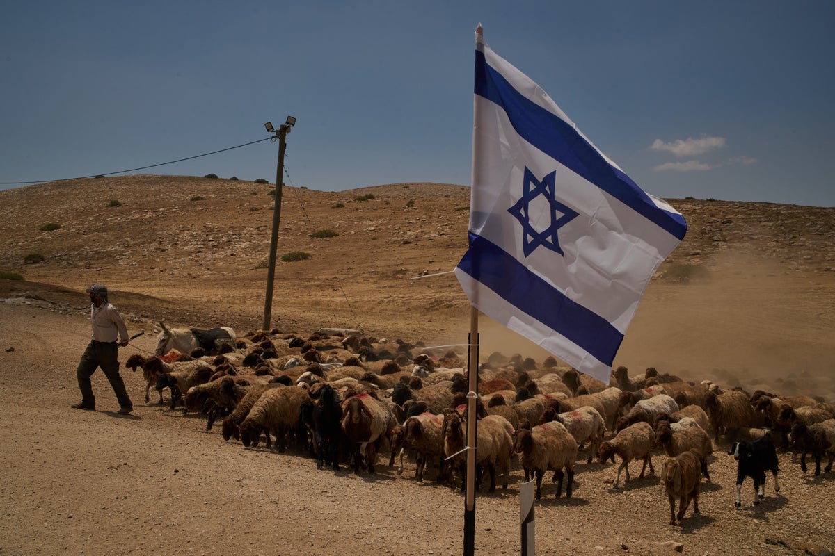 PHOTO ESSAY: Palestinian shepherds endure life alongside Israeli settler outposts