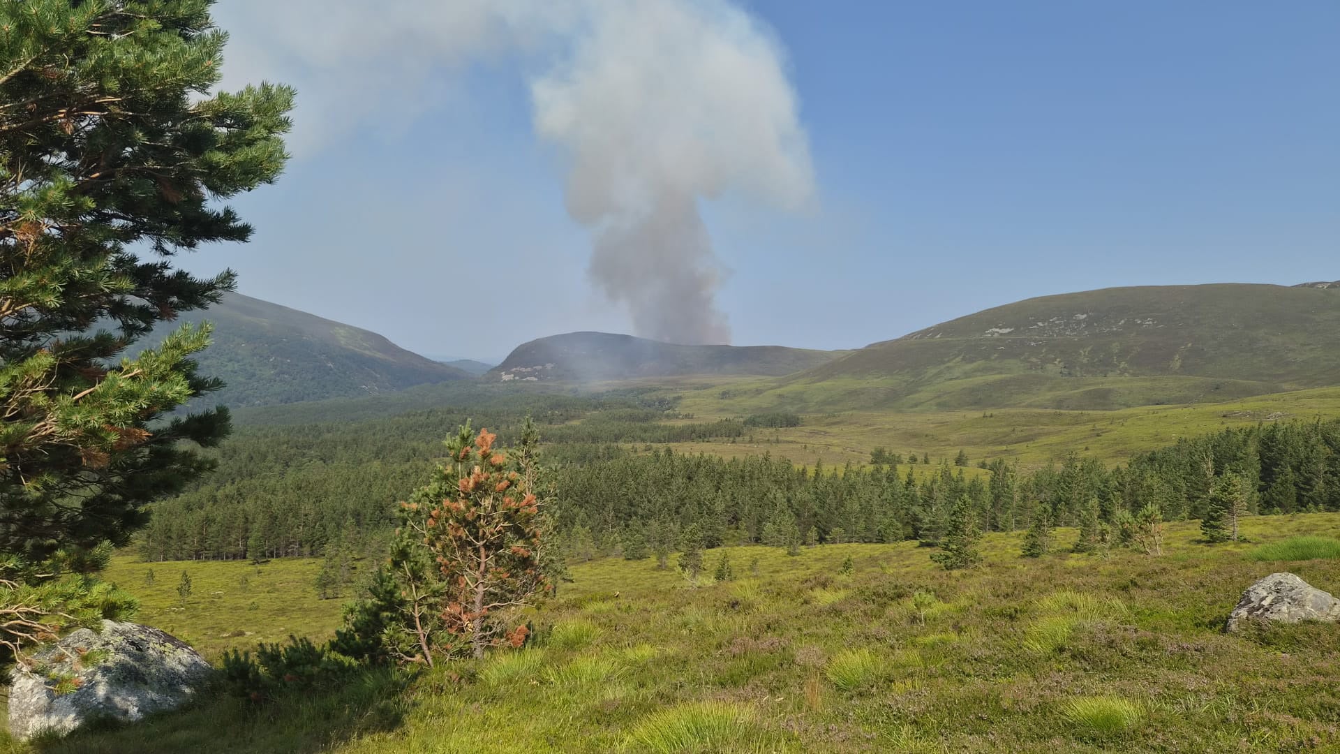 Cairngorms fire: Locals told to ‘leave your pets and go’ as blaze spreads – UK Times