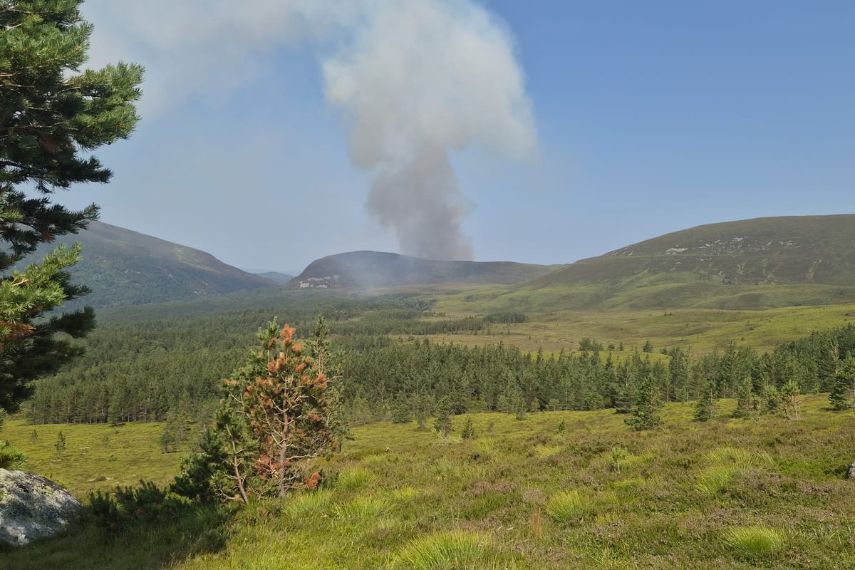 Cairngorms fire: Locals told to ‘leave your pets and go’ as blaze spreads – UK Times Cairngorms fire: Locals told to ‘leave your pets and go’ as blaze spreads – UK Times