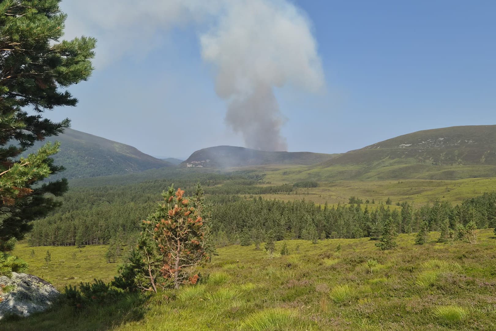 At least 19 bushfires were recorded by fire departments in England during recent heatwaves.
