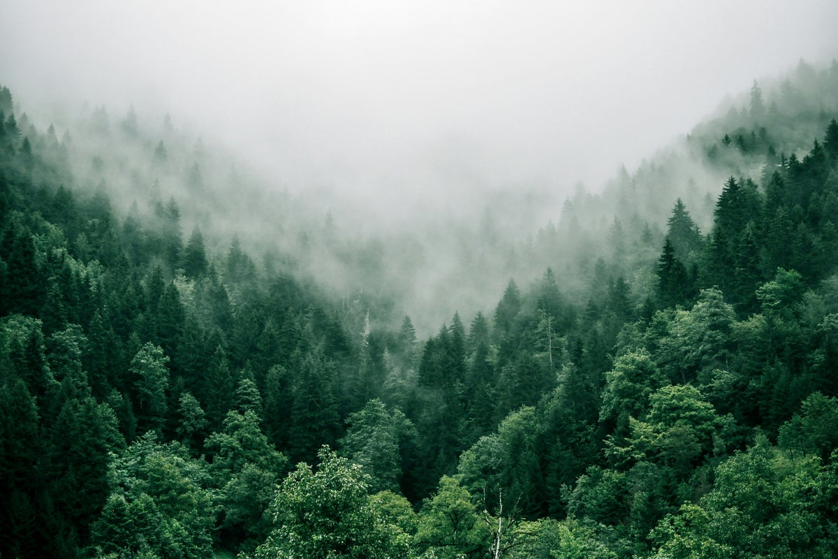 Can fashion help lead the way towards climate restoration?
