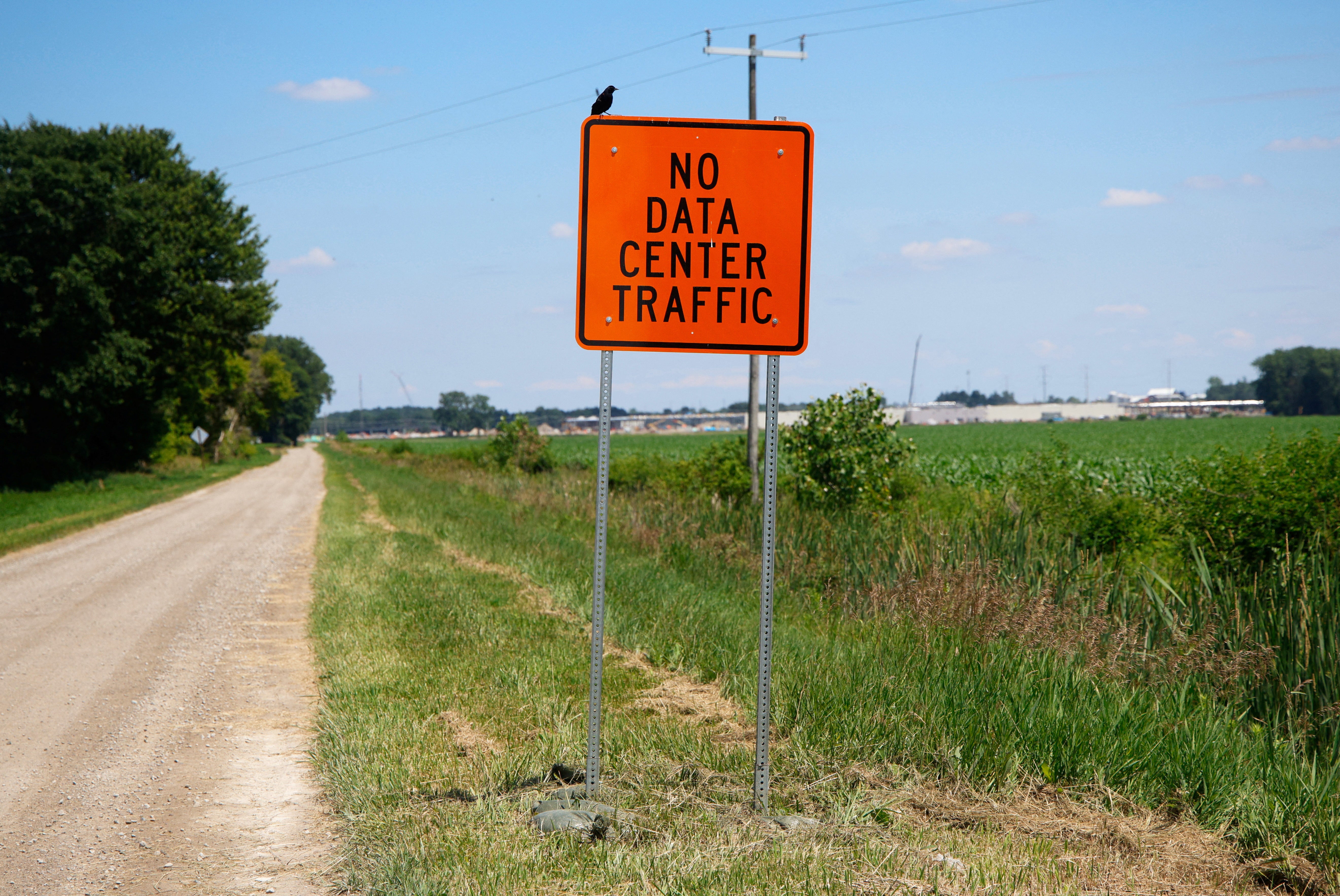 A bird perches on a "No Data Center Traffic" sign in Saline Township, Michigan