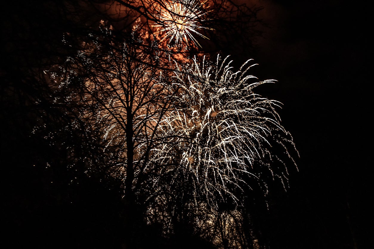 Noisy fireworks face potential ban for public sale under new government plans