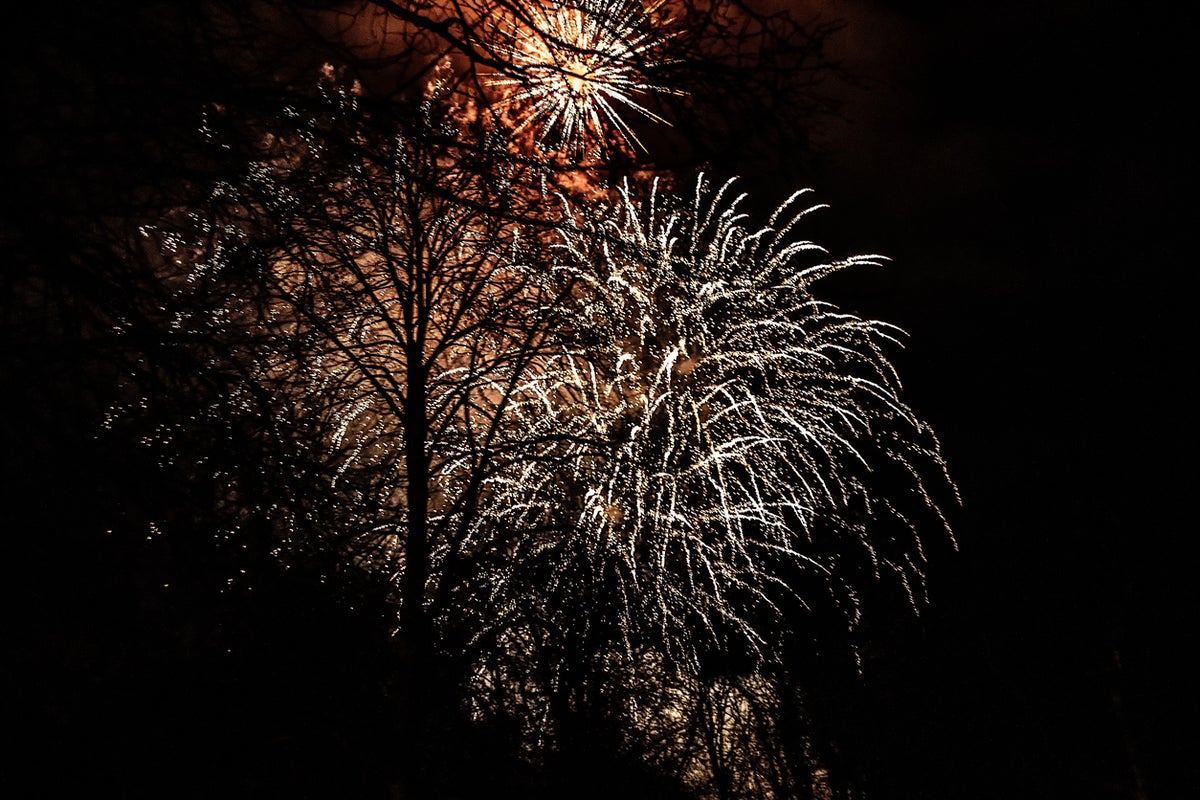 Noisy fireworks face potential ban under new government plans