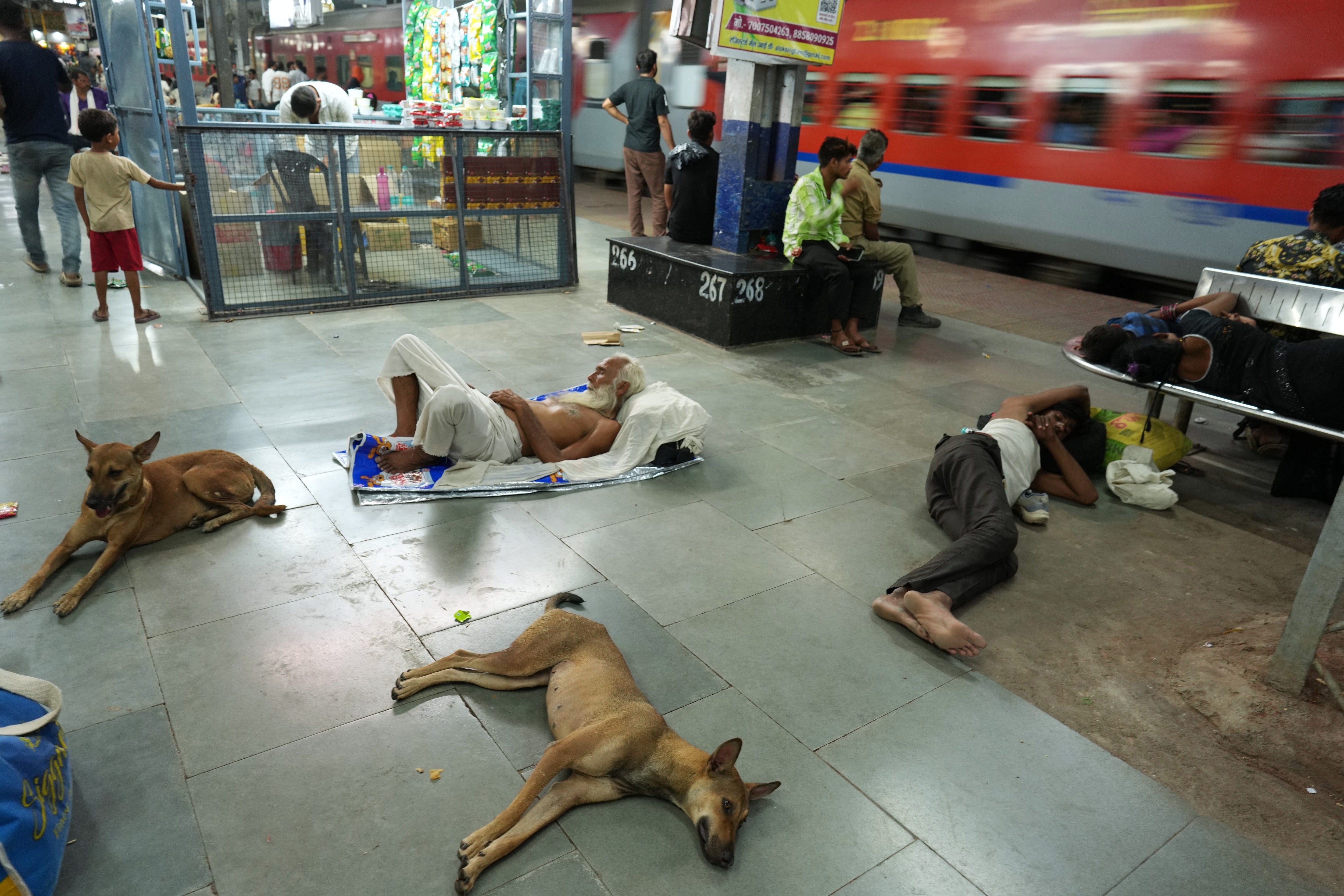 Residents and stray dogs rest on the platform of a railway station to escape the heat