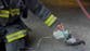 Moment pigeon receives life-saving oxygen from firefighters after being caught in vehicle blaze