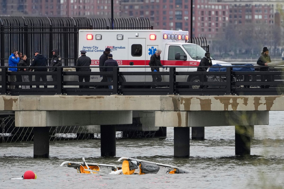 Bird strike may have caused NYC helicopter crash that killed 6, NTSB says – UK Times Bird strike may have caused NYC helicopter crash that killed 6, NTSB says – UK Times