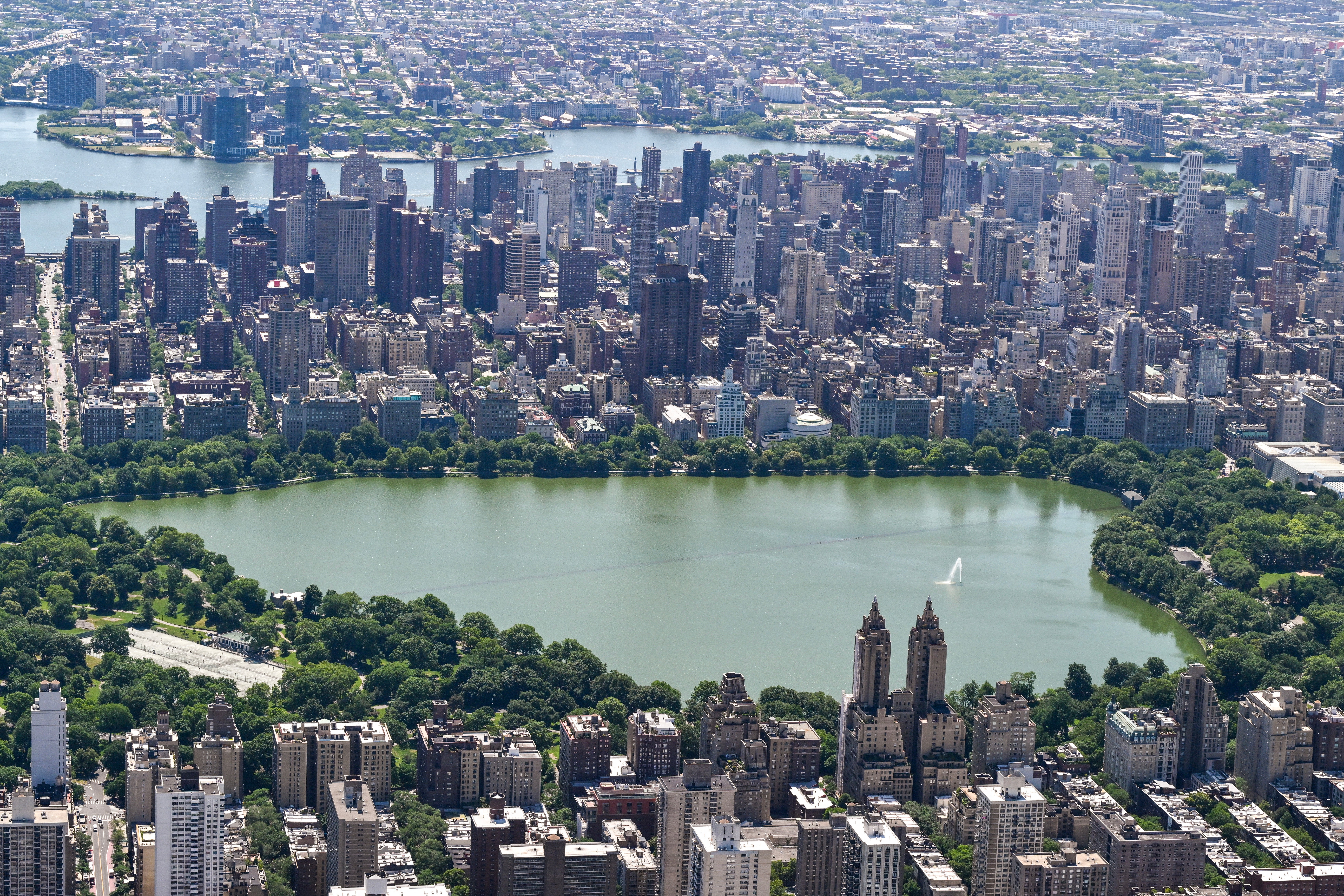 The incident unfolded in NYC's Central Park, according to the NYPD