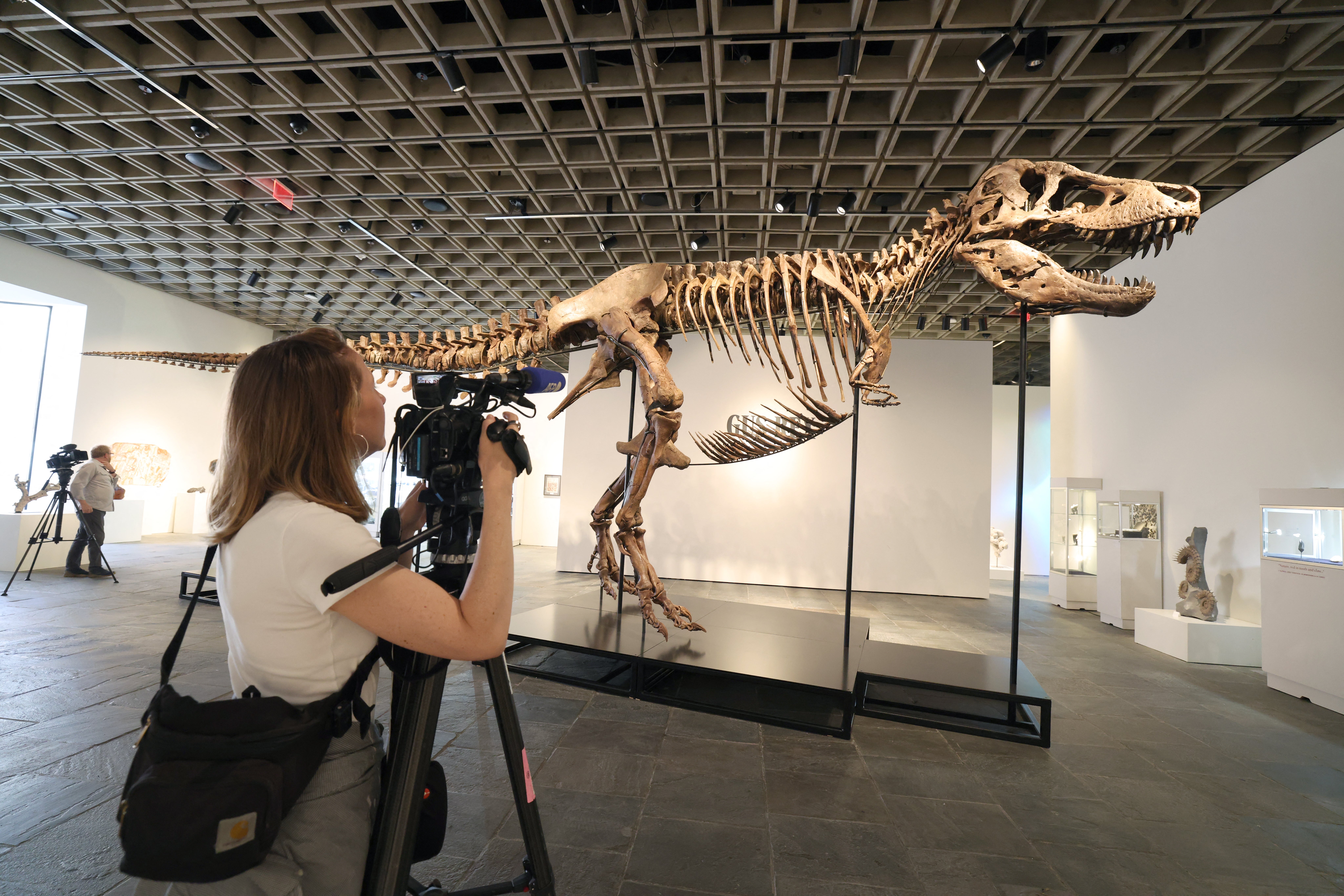 Who wouldn’t spend $50m on a dinosaur if they had the cash?