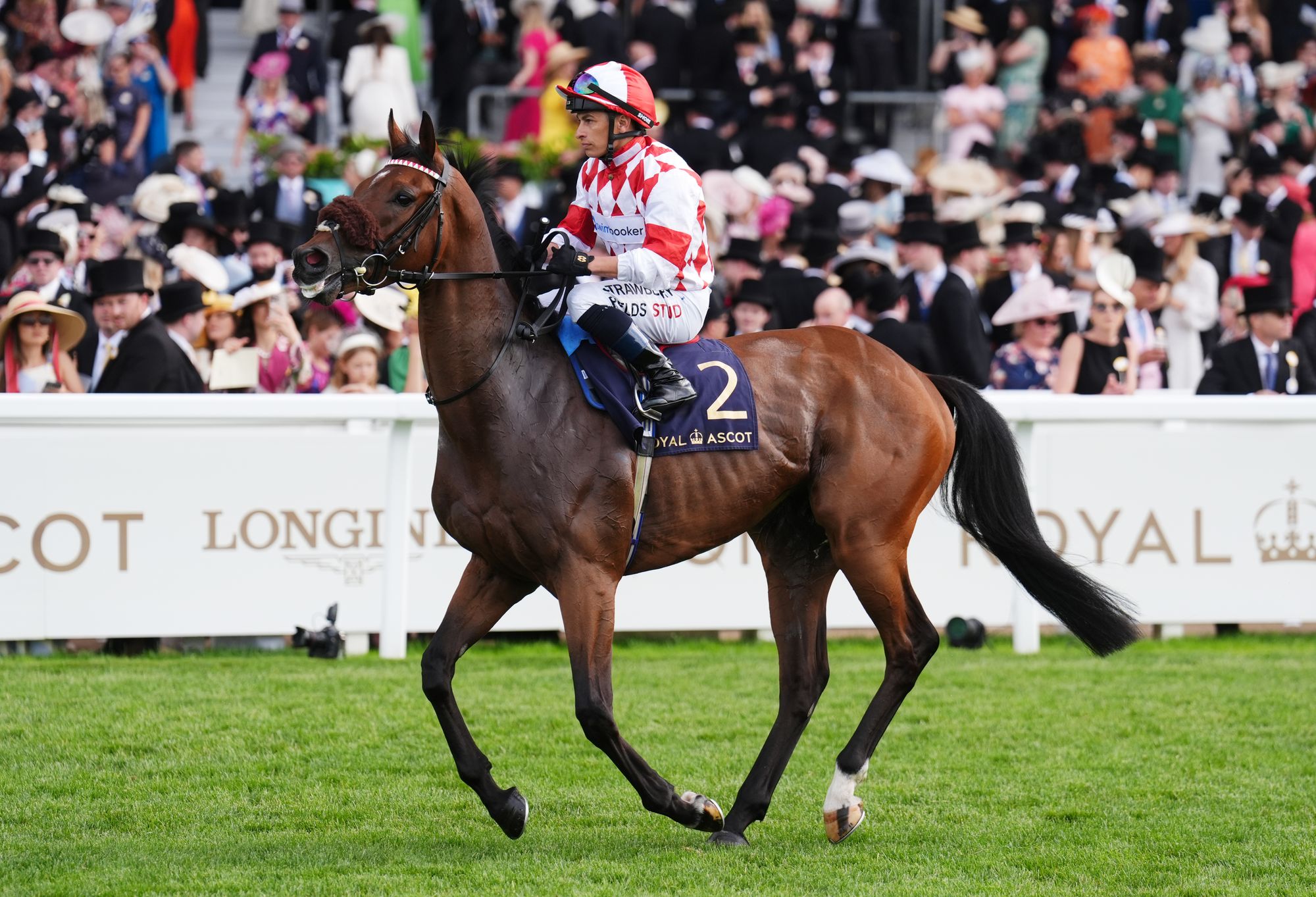 independent.co.uk - Jonathan Doidge - Saturday's racing tips: Best bets and odds from Market Rasen and Newbury