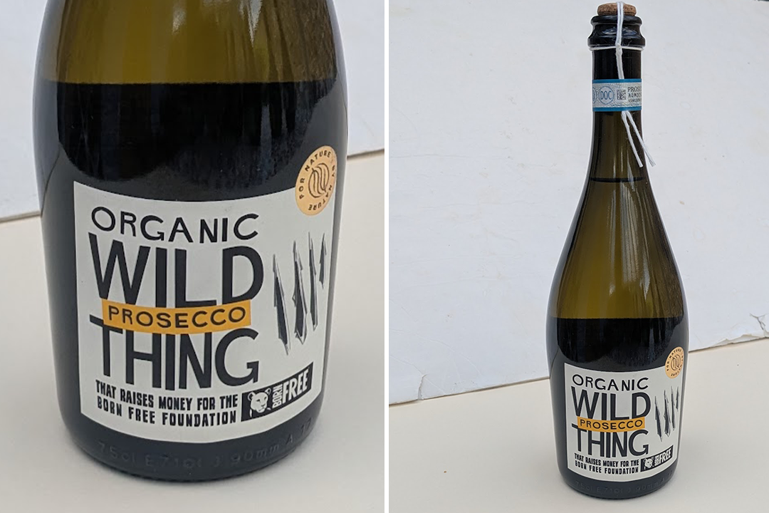 This one comes with softer bubbles and vibrant orchard flavours (John Clarke/The Independent)