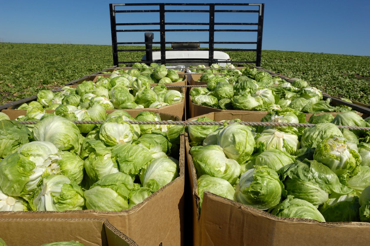 Local farmers reap rewards from ‘explosive diarrhea’ outbreak as shoppers avoid pre-packed produce – UK Times