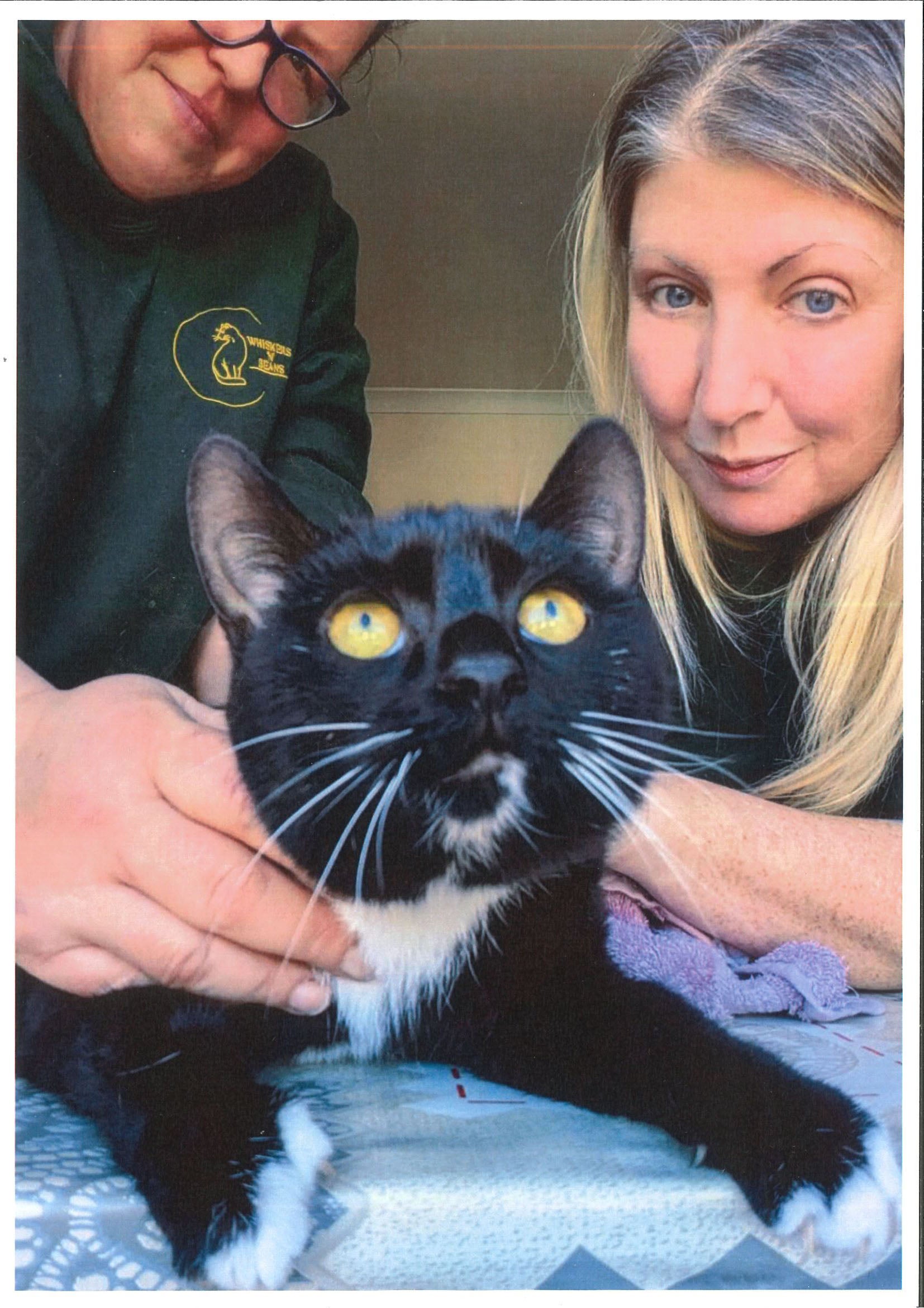Cat Rita with her nurses