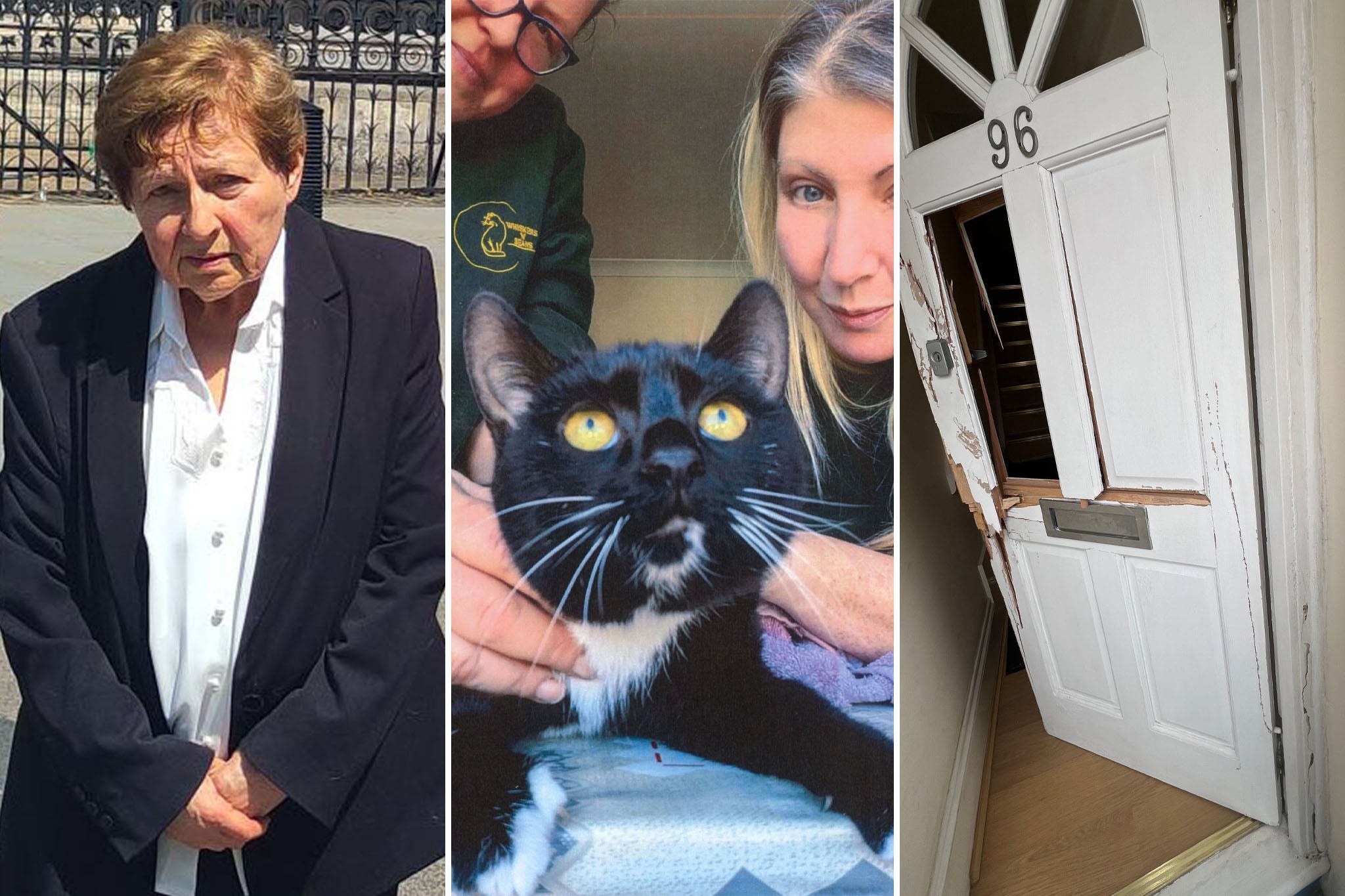 Former human rights lawyer, 79, sues after police &lsquo;chop down door&rsquo; to seize her cat