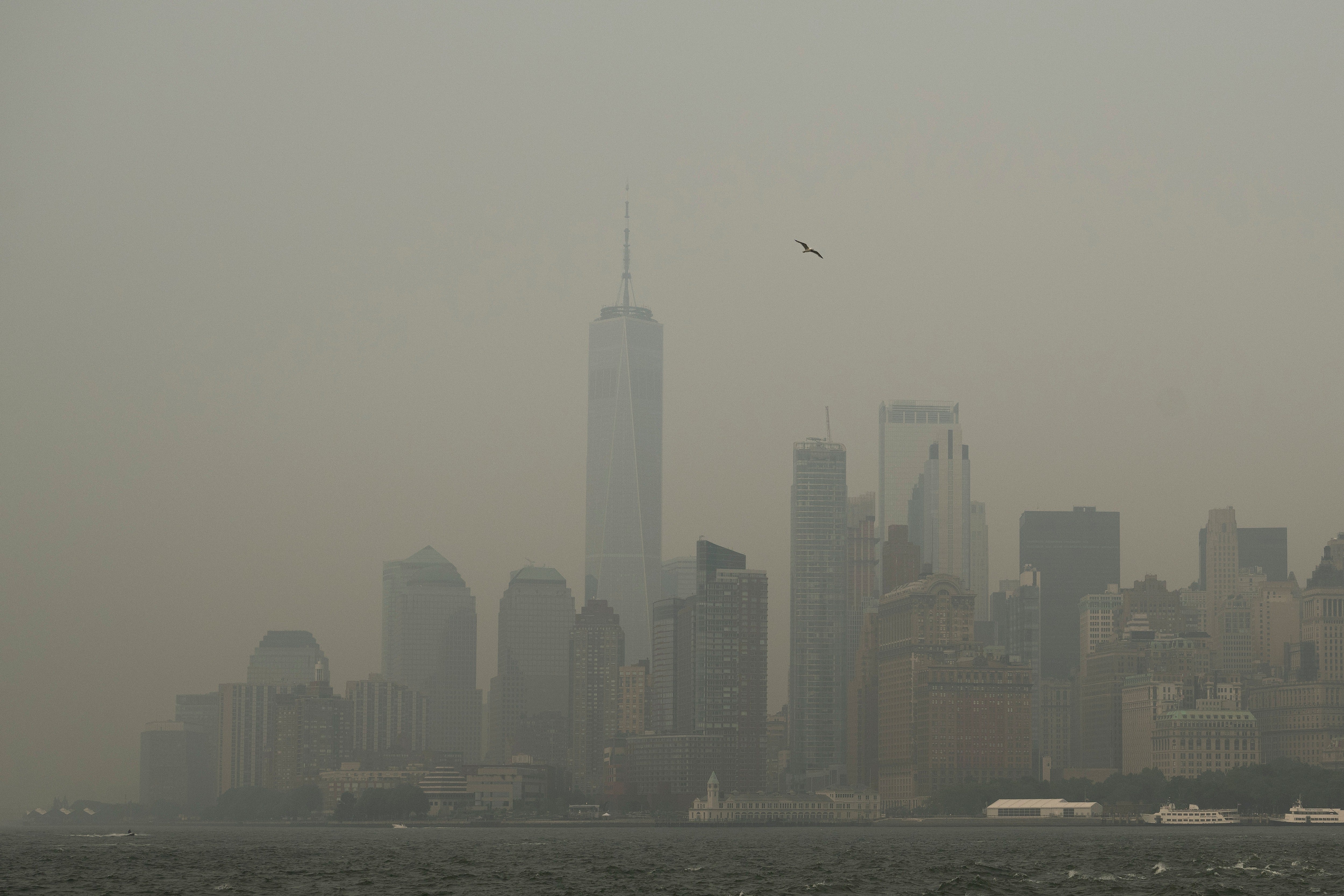 As a result of the smoke, more than a dozen states are under air quality alerts, and officials in cities including New York and Chicago have urged residents to remain indoors when possible.