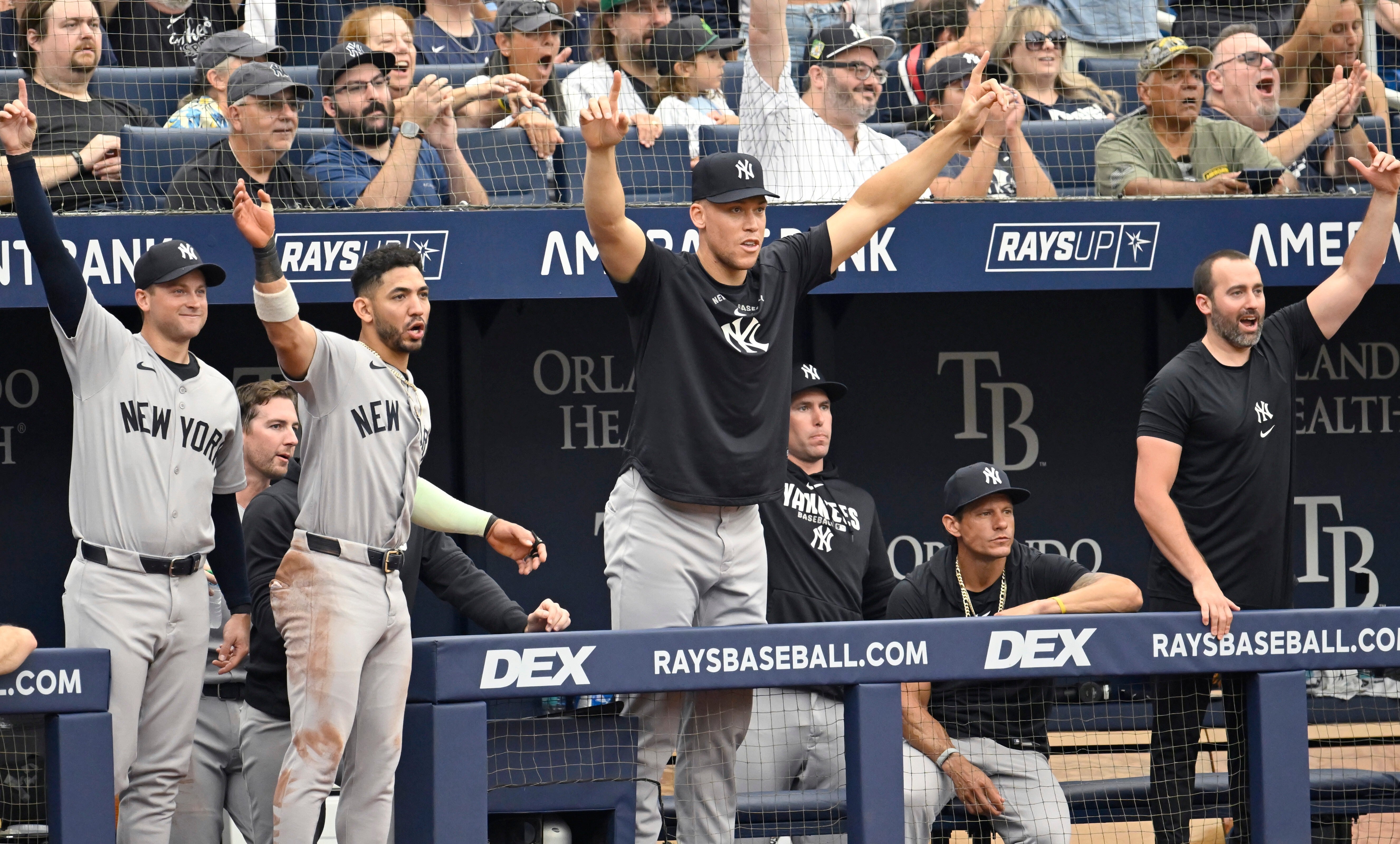 YANKEES-JUDGE