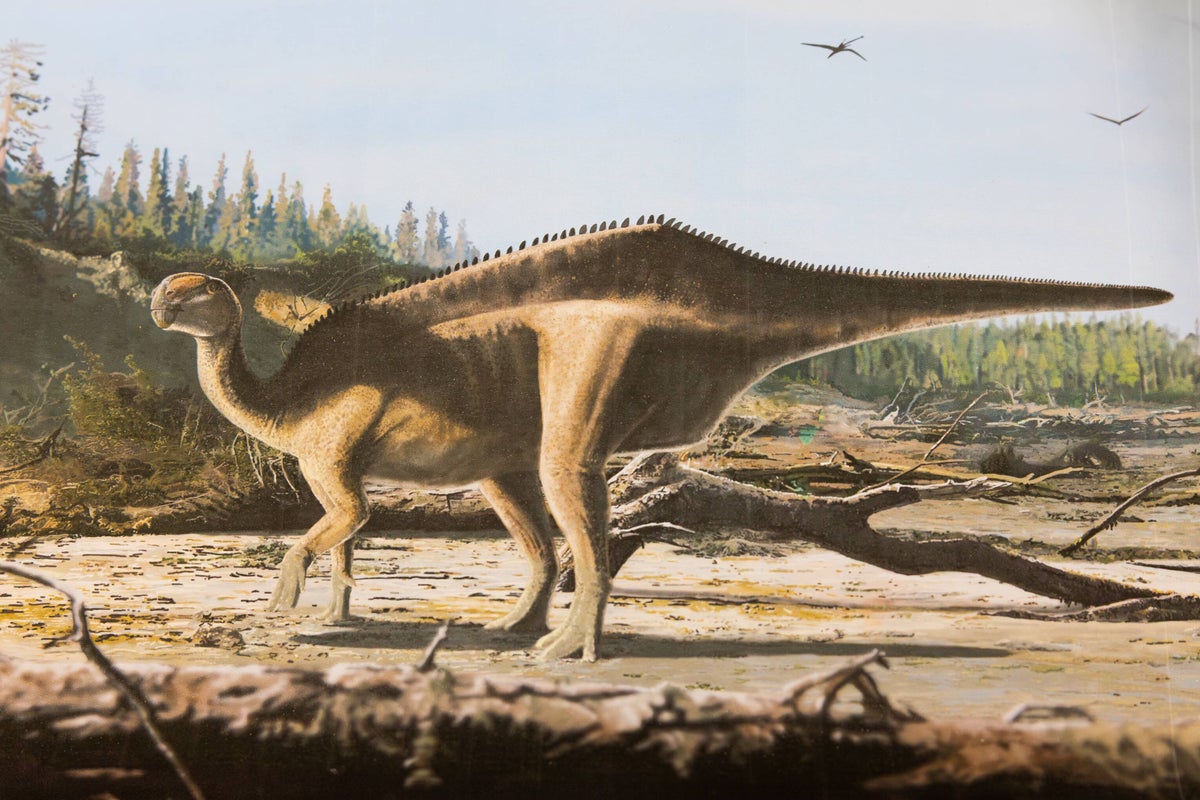 Photo: Independent Dinosaur Biodiversity in the Final Days