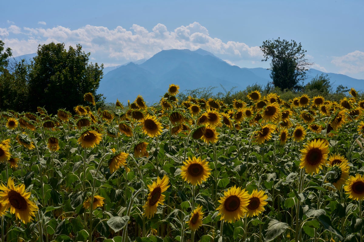 Mount Olympus, home of the ancient Greek gods, is a candidate for the UNESCO World Heritage List – UK Times Mount Olympus, home of the ancient Greek gods, is a candidate for the UNESCO World Heritage List – UK Times
