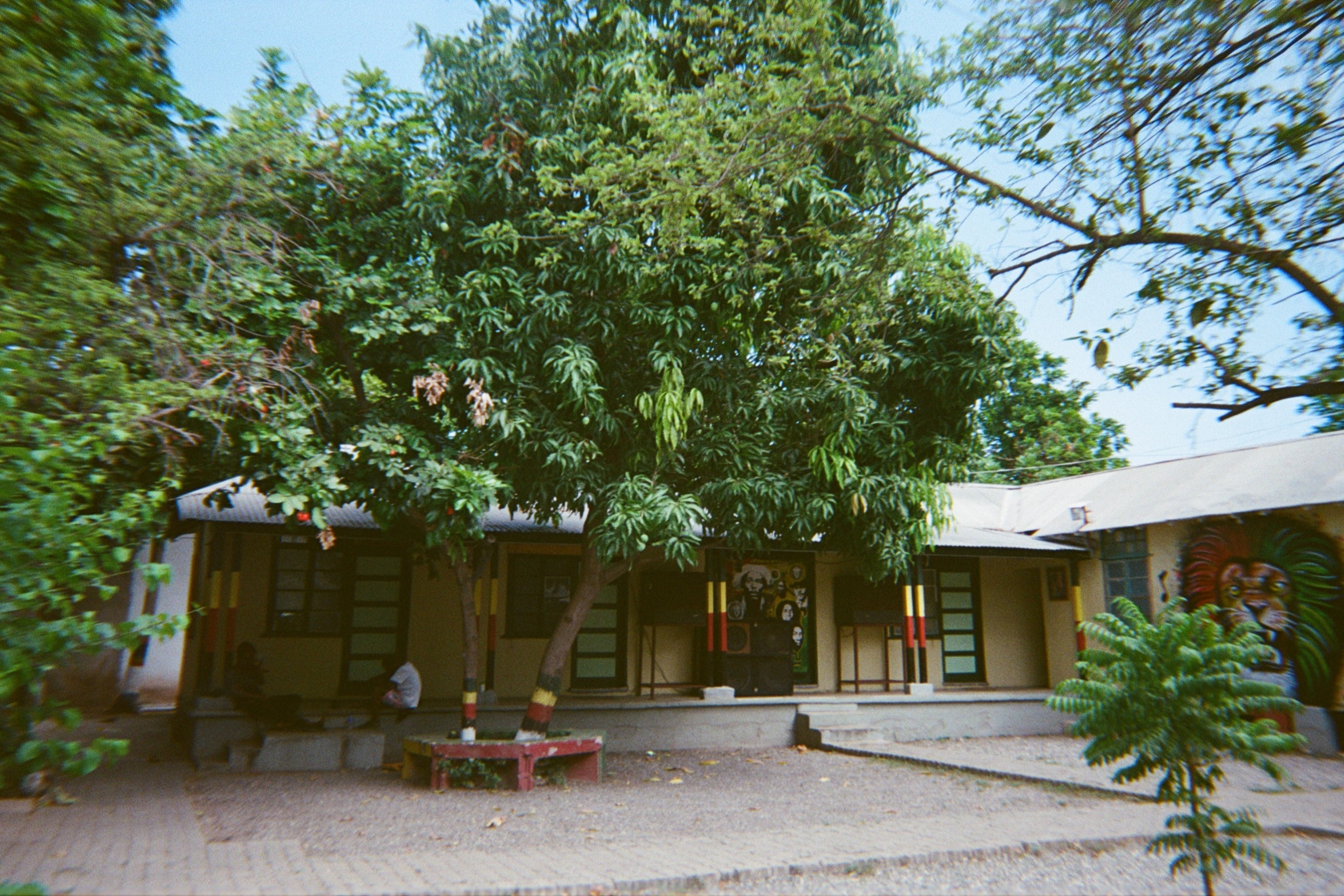 Trench Town in Kingston, where Bob Marley lived and played in the yard (Sadie Clayton)
