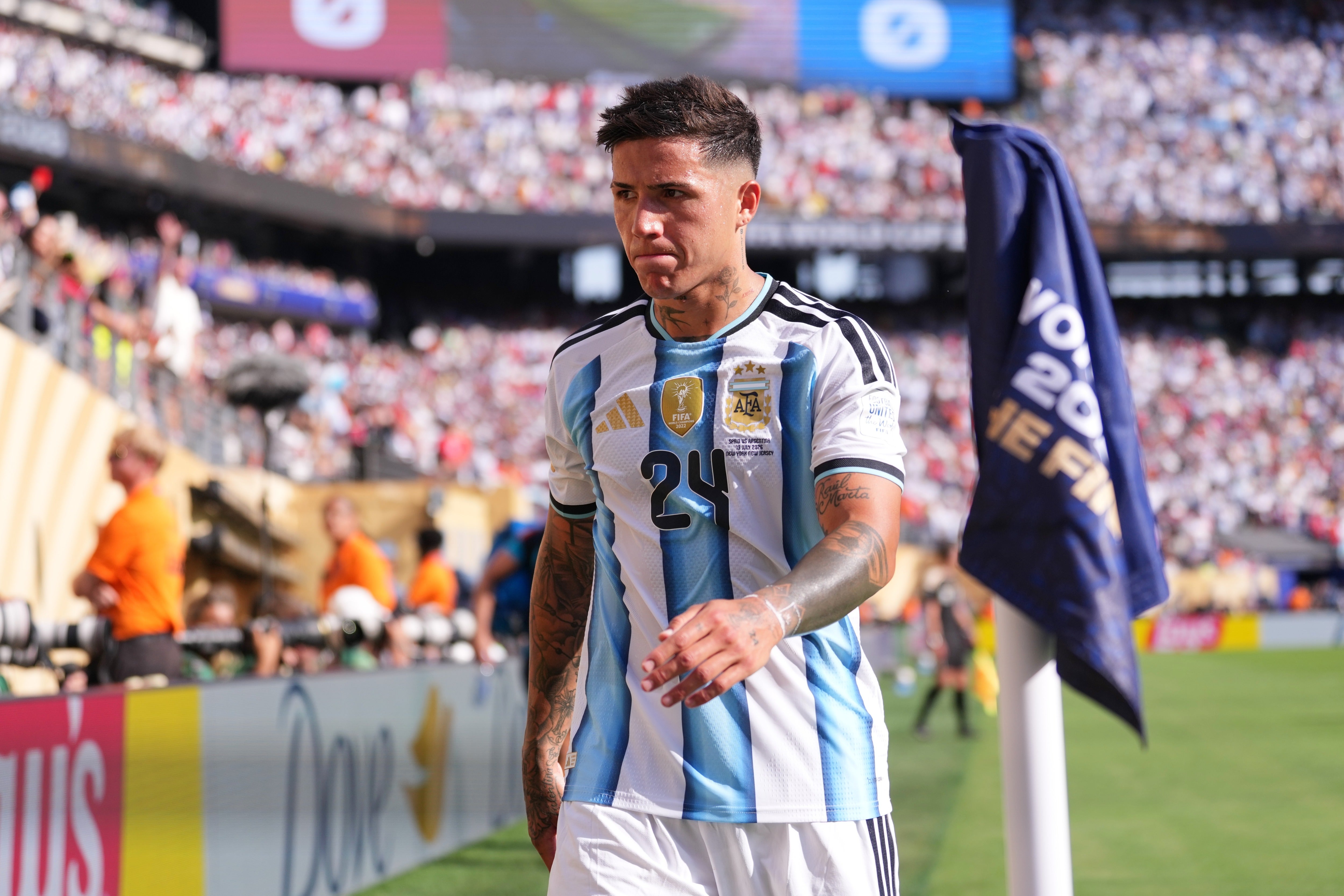 Fernandez became the sixth player to be sent off in a World Cup final - and the third from Argentina