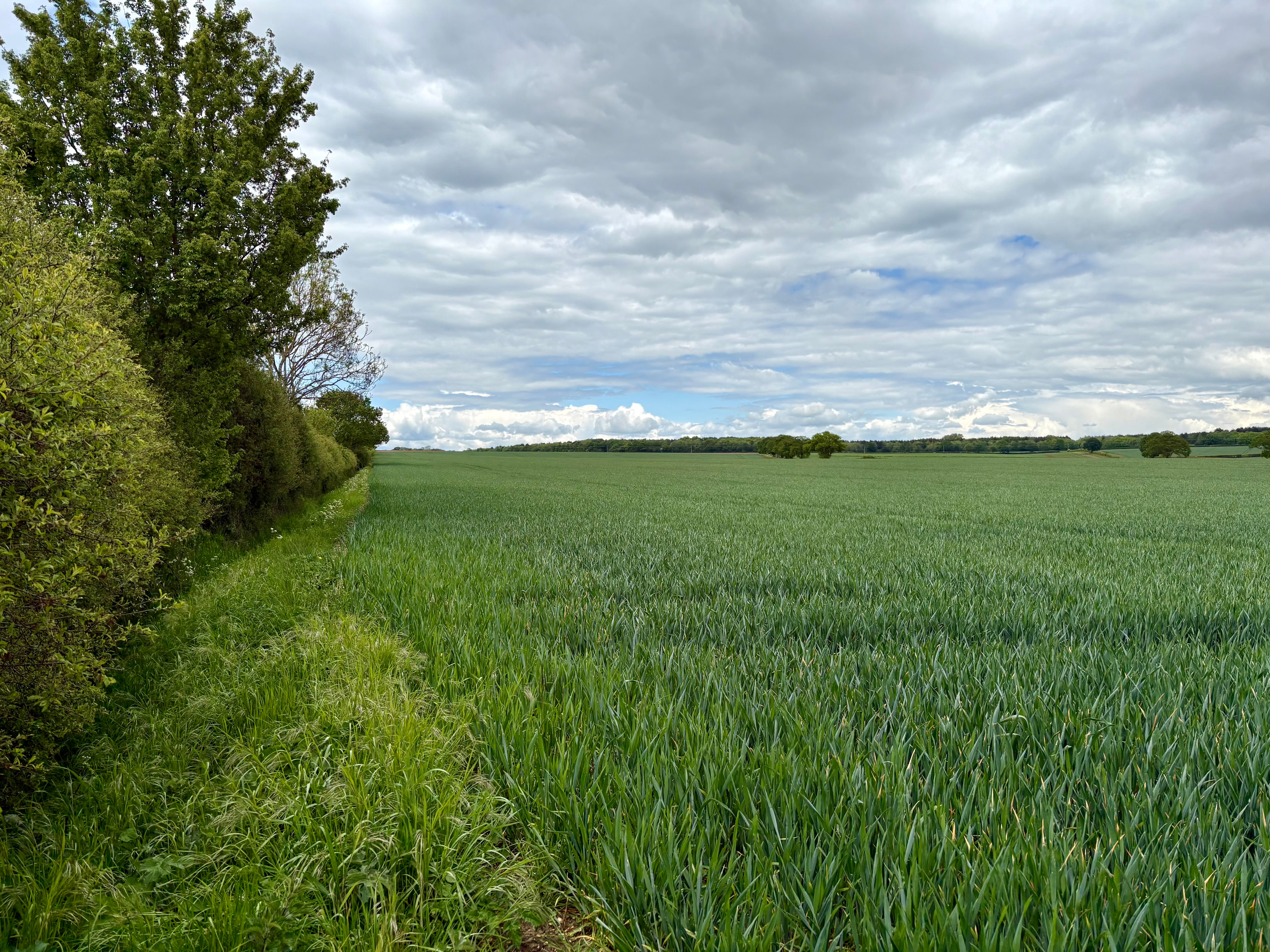 Strawberry Hill has lots of ‘middle’ unaffected by the surrounding conventional farmland (Emily Beament/PA)