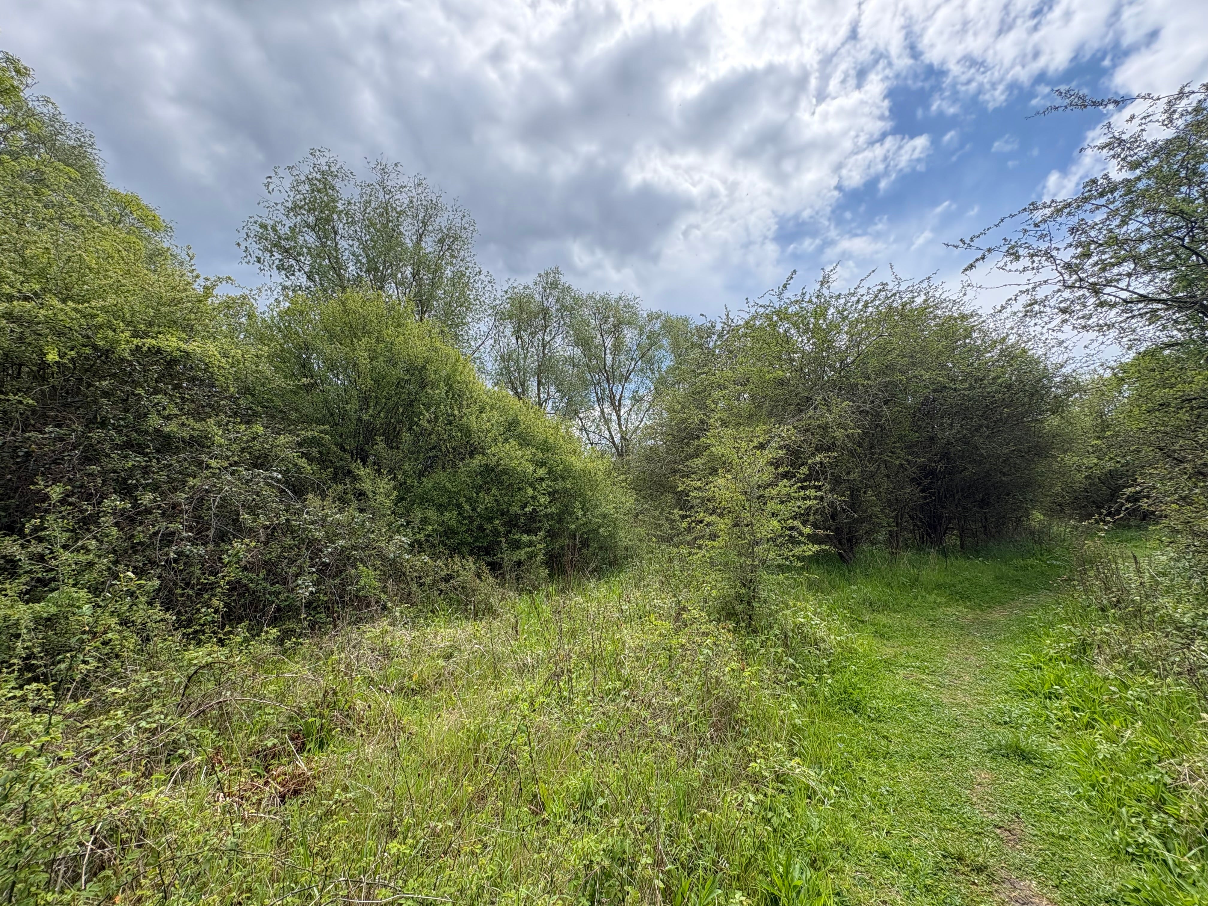 Strawberry Hill, Bedfordshire, is former farmland left to go wild decades ago (Emily Beament/PA)
