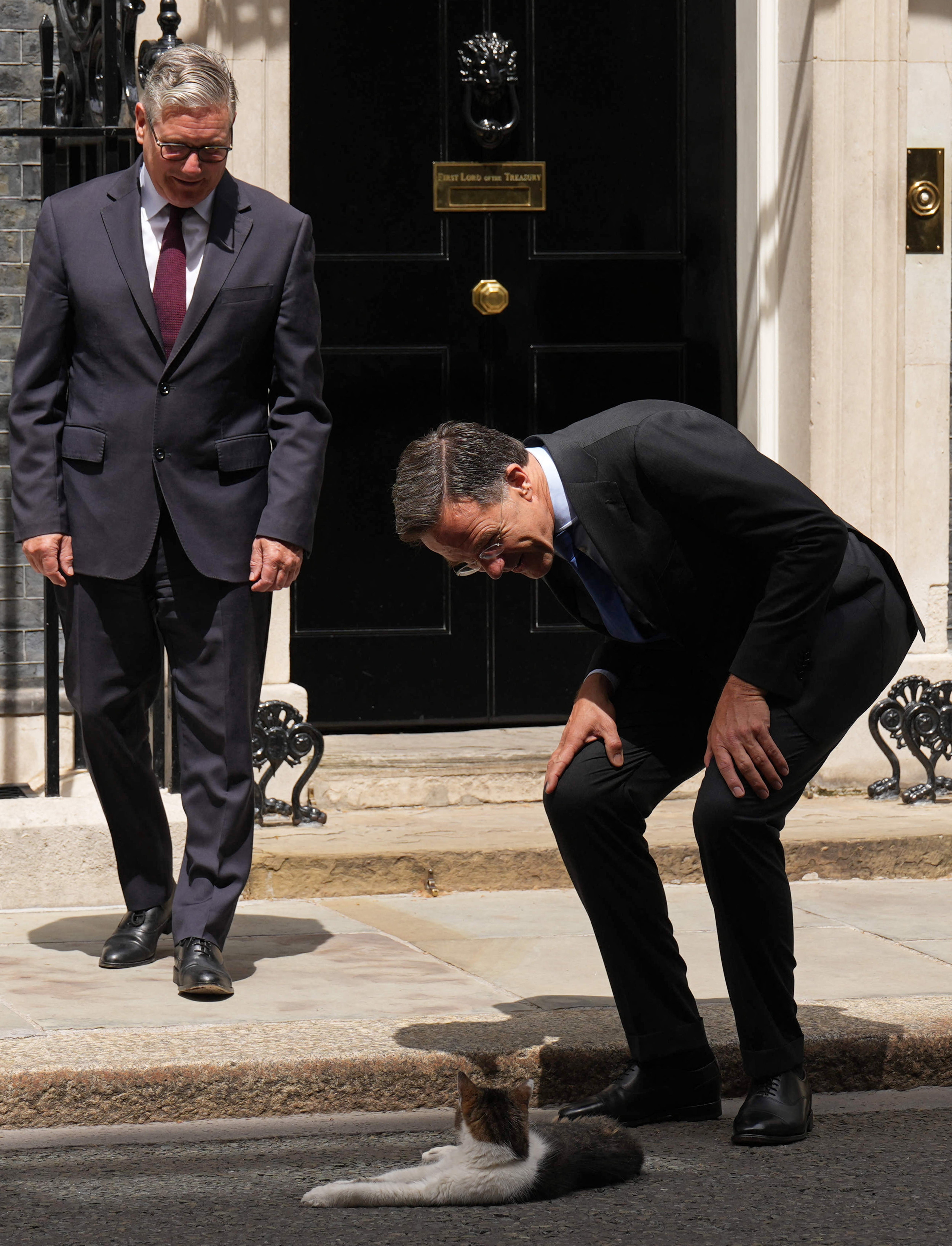 NATO Secretary General Mark Rutte interacts with Larry the cat. (AFP/Getty)