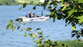 Five people died while trying to rescue drowning swimmer on Ohio River